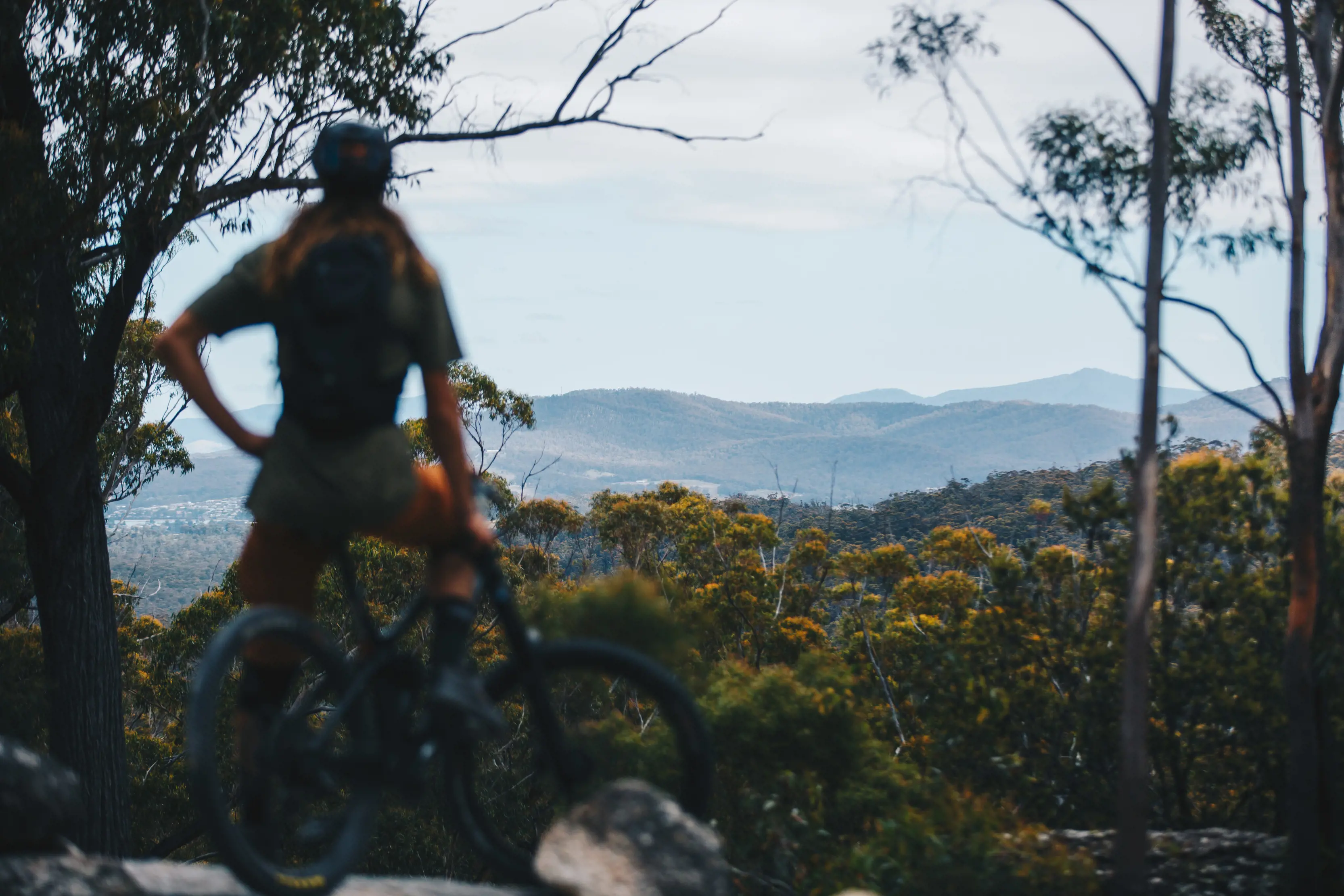 A cyclist stops and looks out at the view from St Helens Mountain Bike Trails