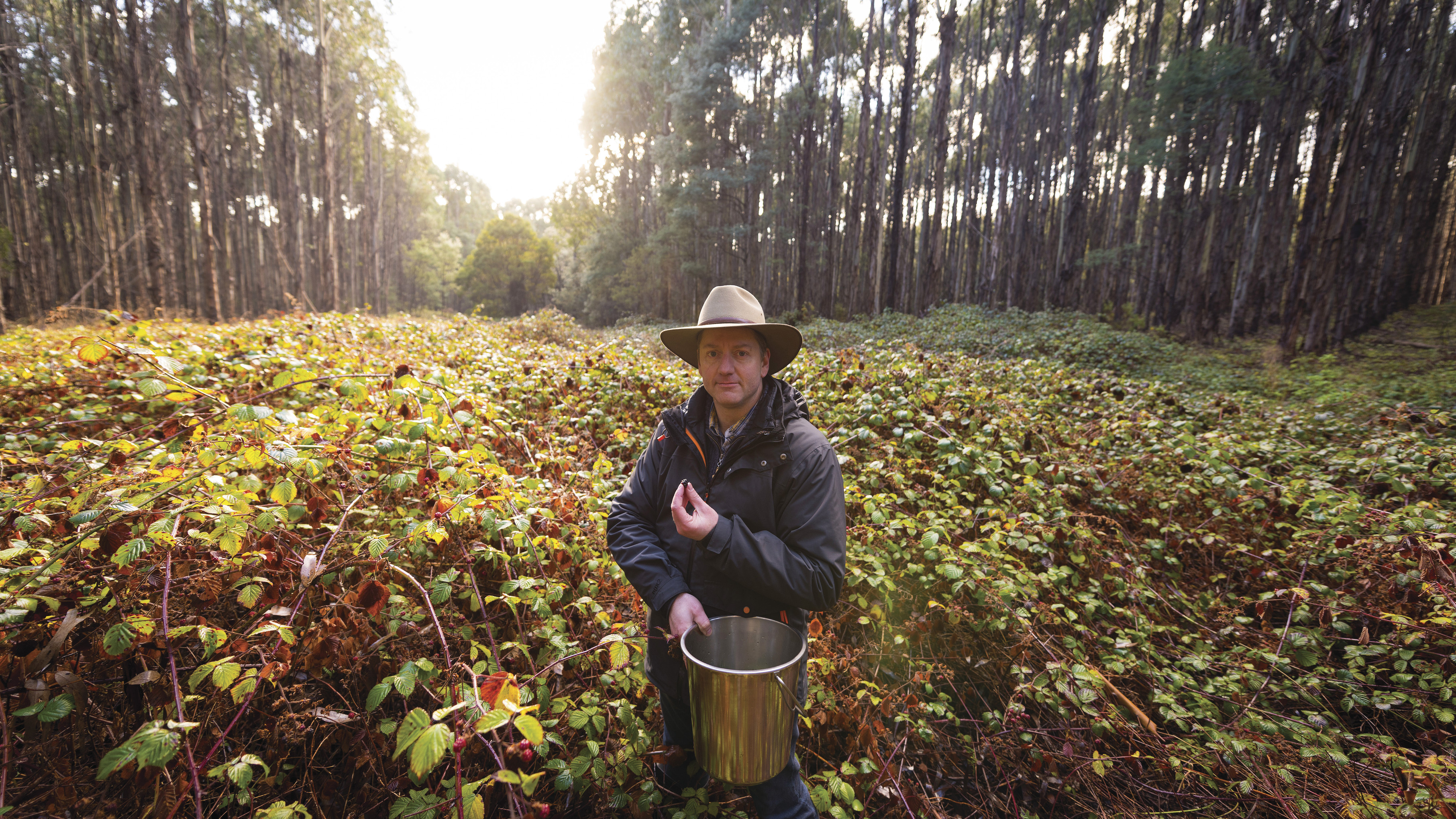 A man stands with a bucket in front of fresh growing ingredients at Southern Wild Distillery, he is about the pick the produce.