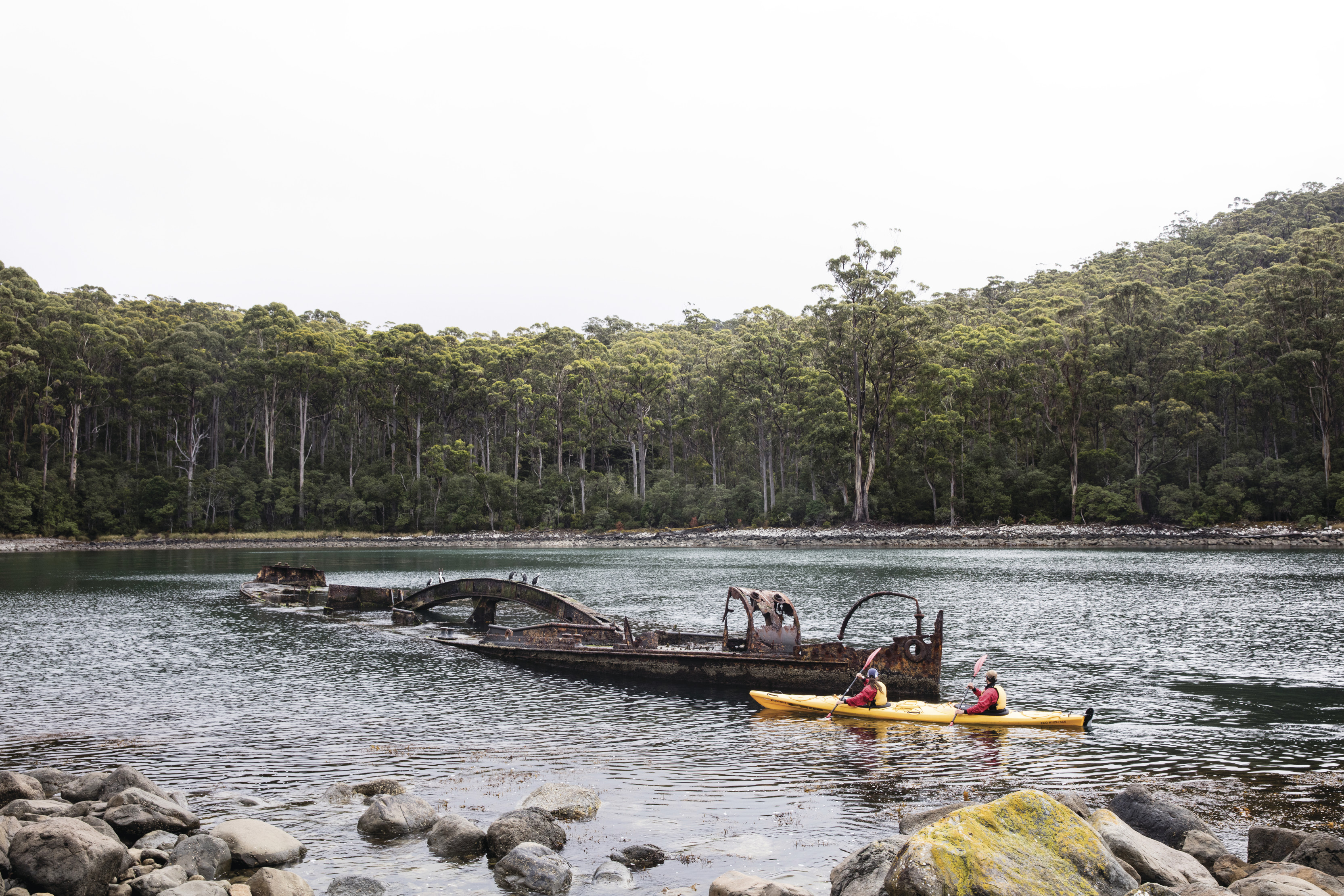 Wide of two kayakers approaching a shipwreck in the water at Canoe Bay, Tasman National Park. Rainforests in the background.
