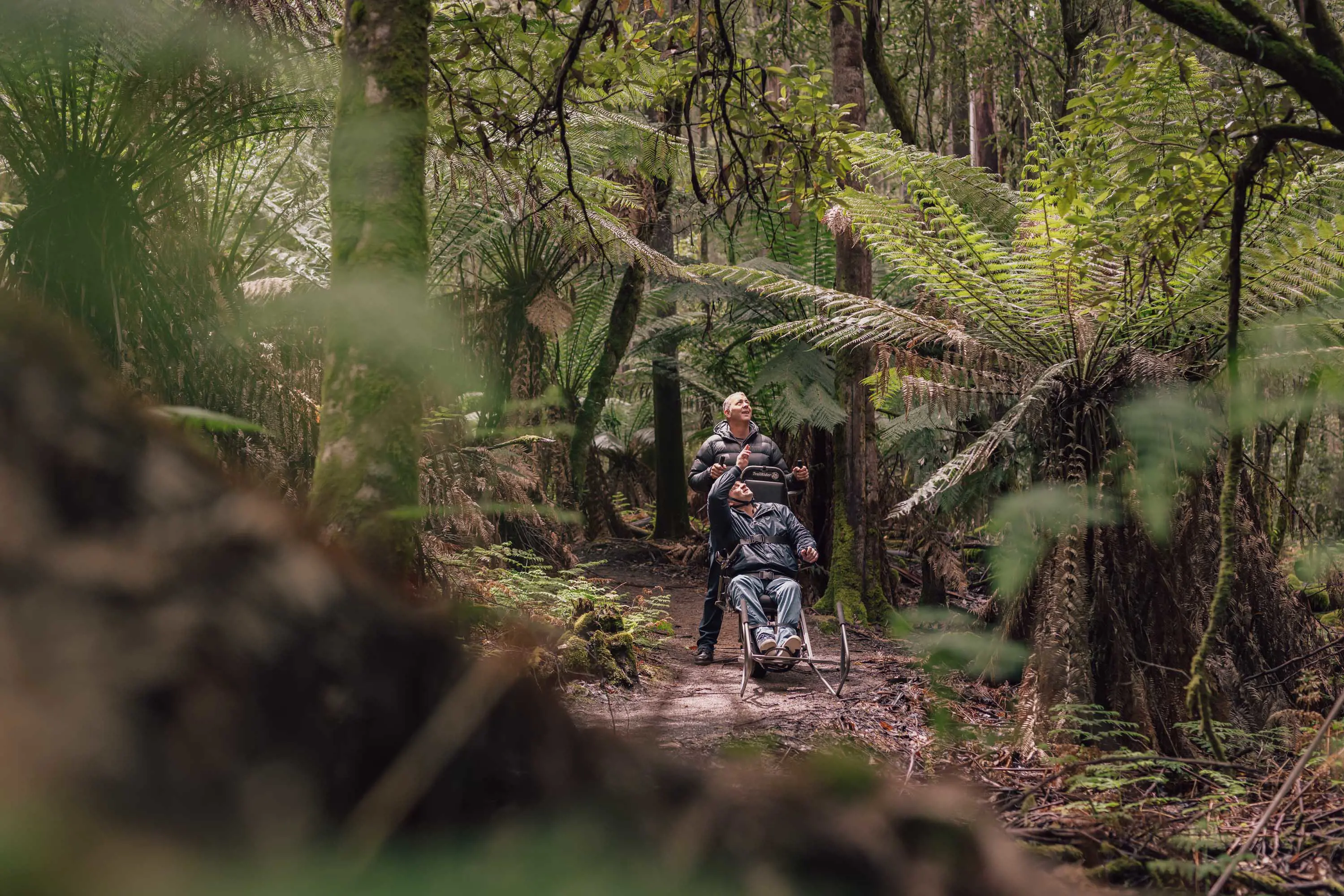 Two people, one in a modified trail rider wheelchair, walk along pathway bordered with tall ferns and thick, moss-covered trees.