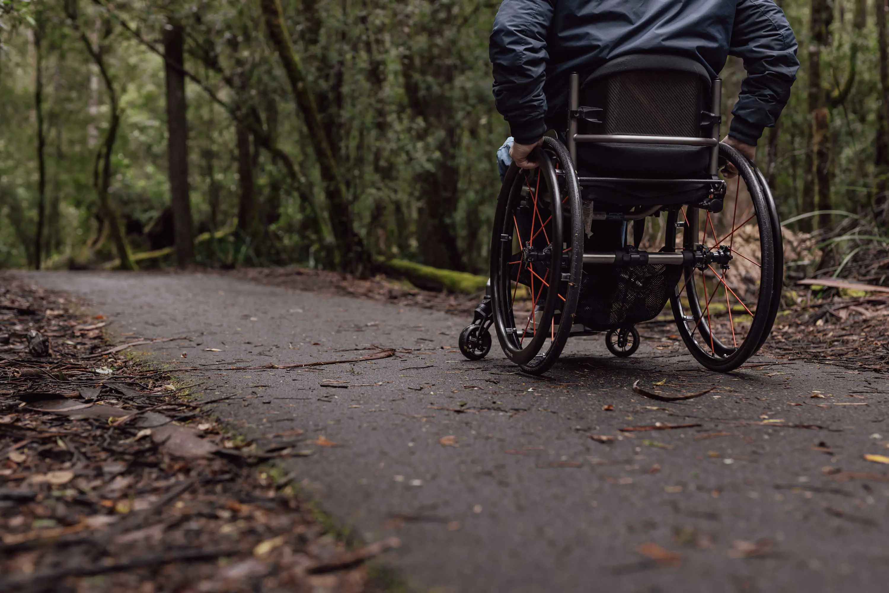 A person in a wheelchair rolls along a sealed pathway within a forest.