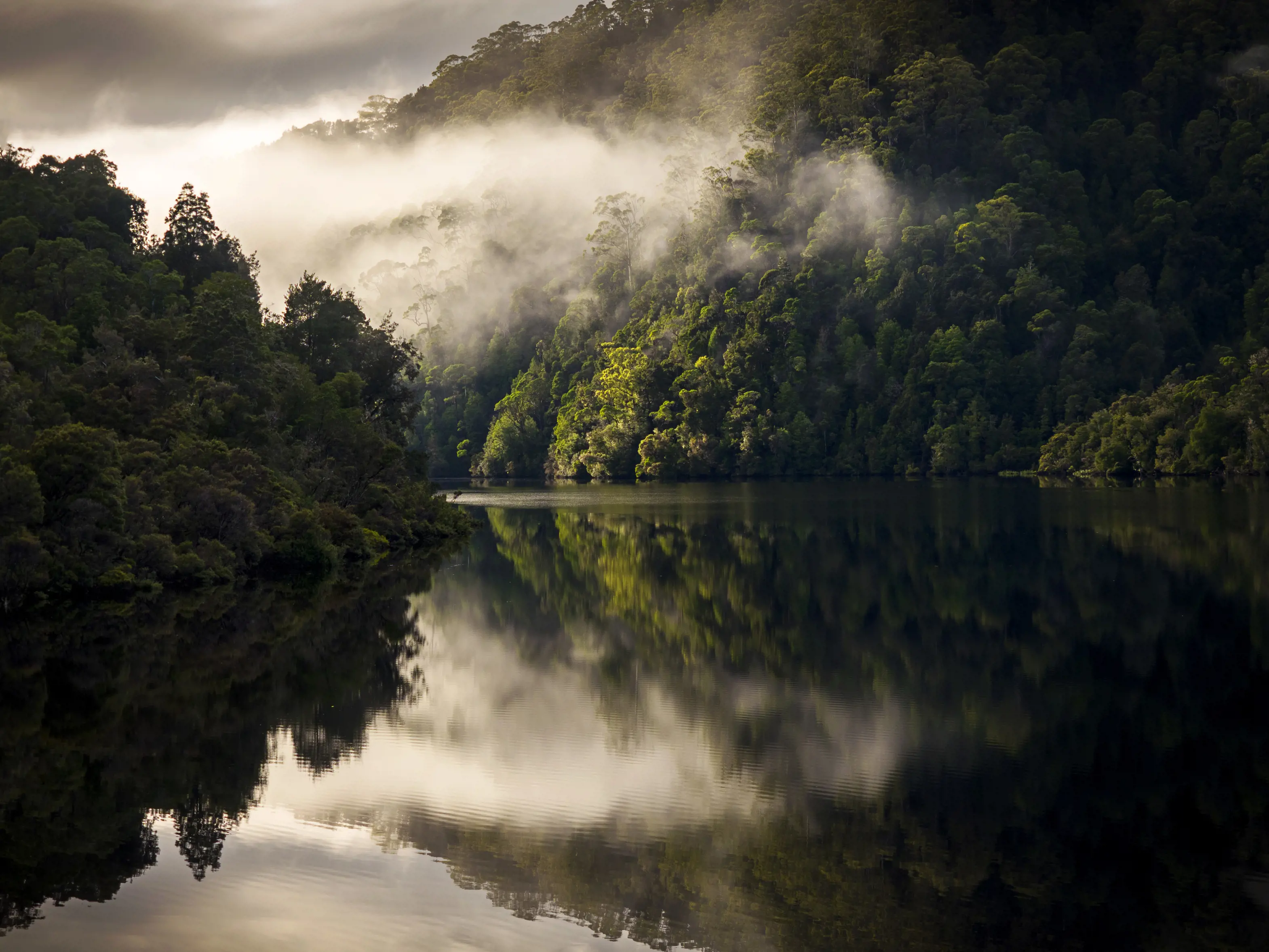 Stunning and dramatic image of the Gordon River taken during sunrise, as mist hovers over the water, surrounded by lush forest.