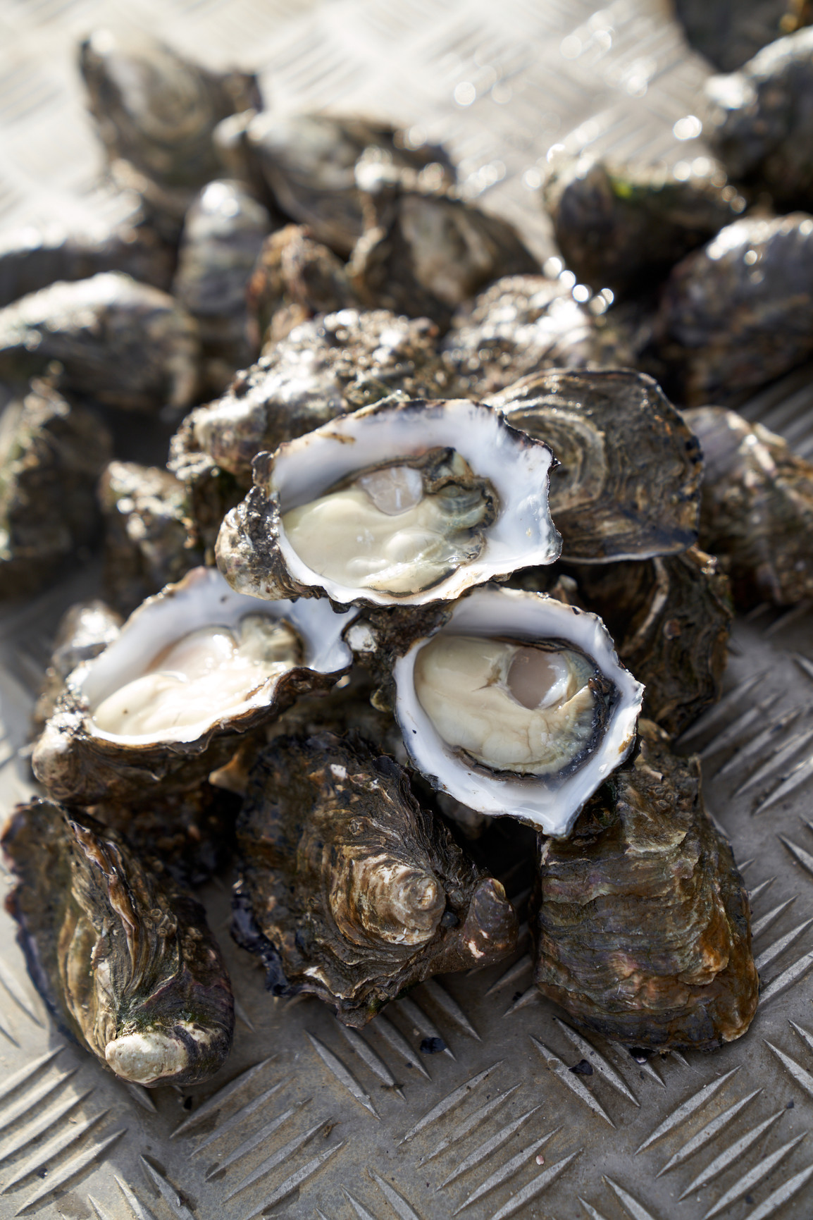 Close up image of a stack of fresh oysters.
