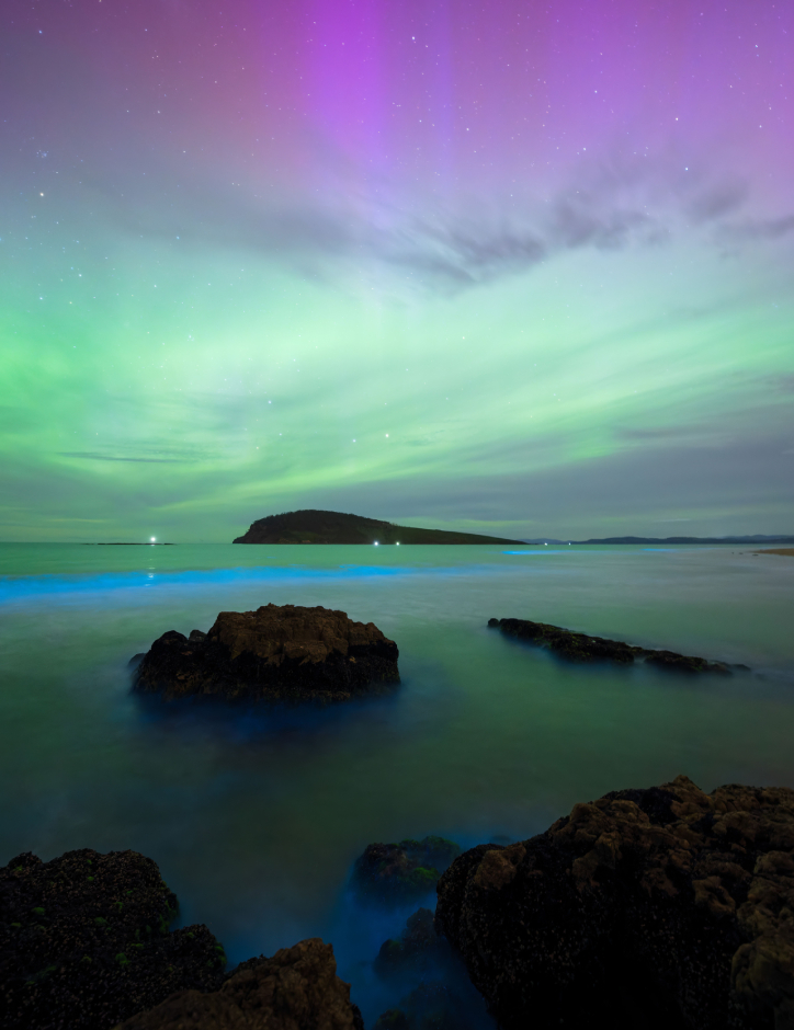 How to see the Southern Lights