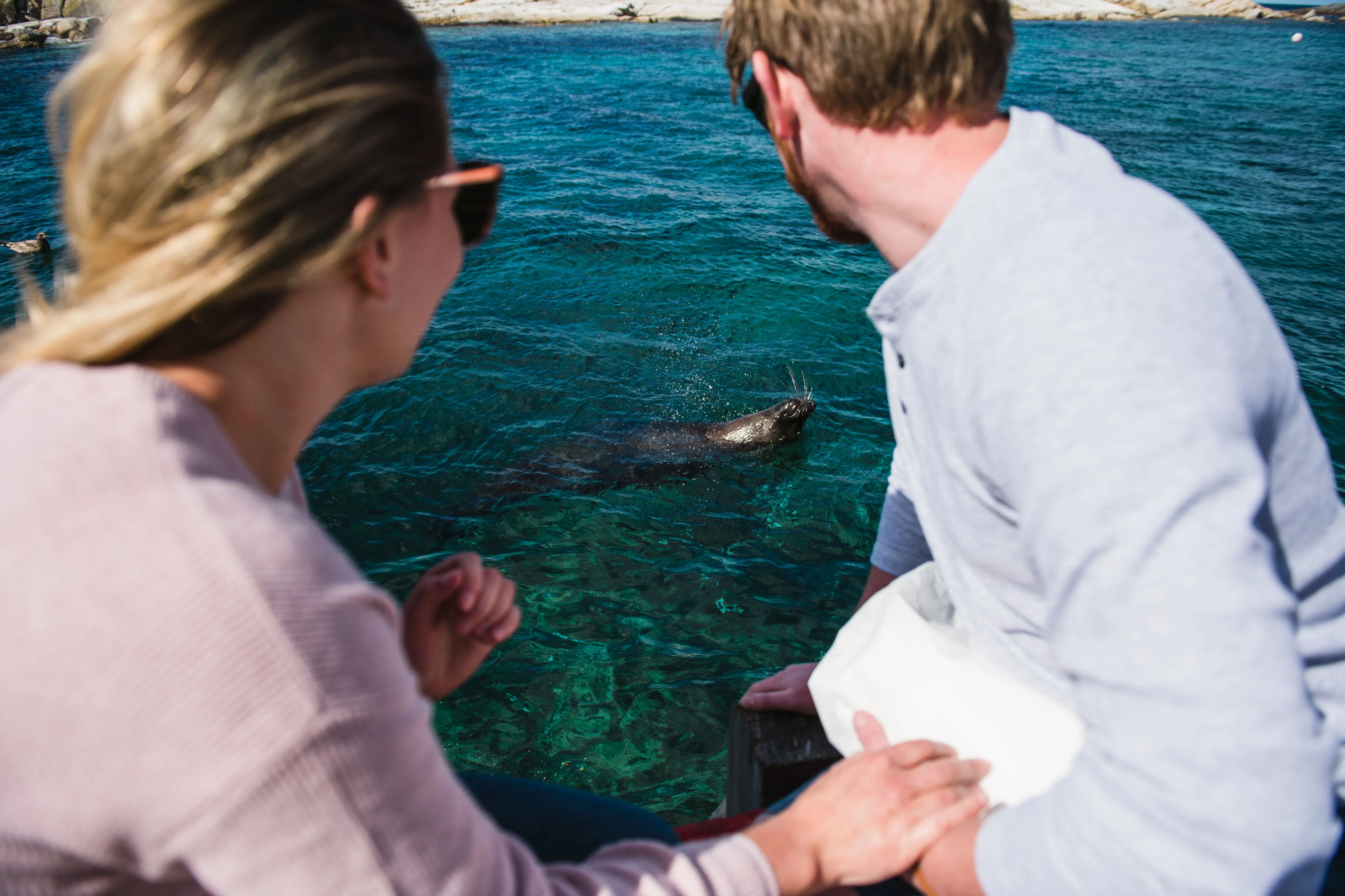 A woman and man wearing sunglasses turn away from the camera looking towards the aqua-coloured sea, where in the space between them, a nearby whiskered seal floats on its back.