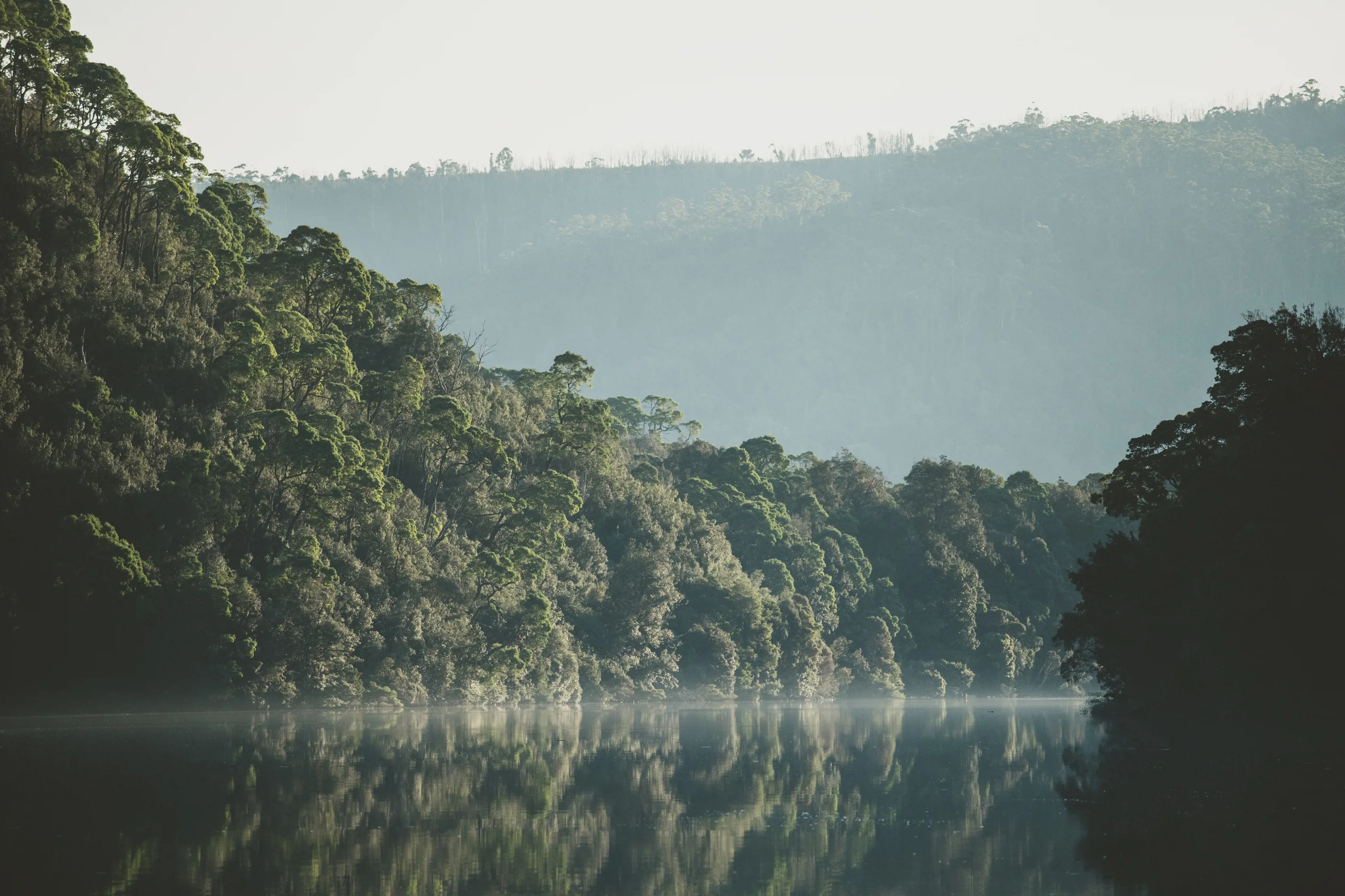 A moody and stunning image of Pieman River. Surrounded by dense rainforest.