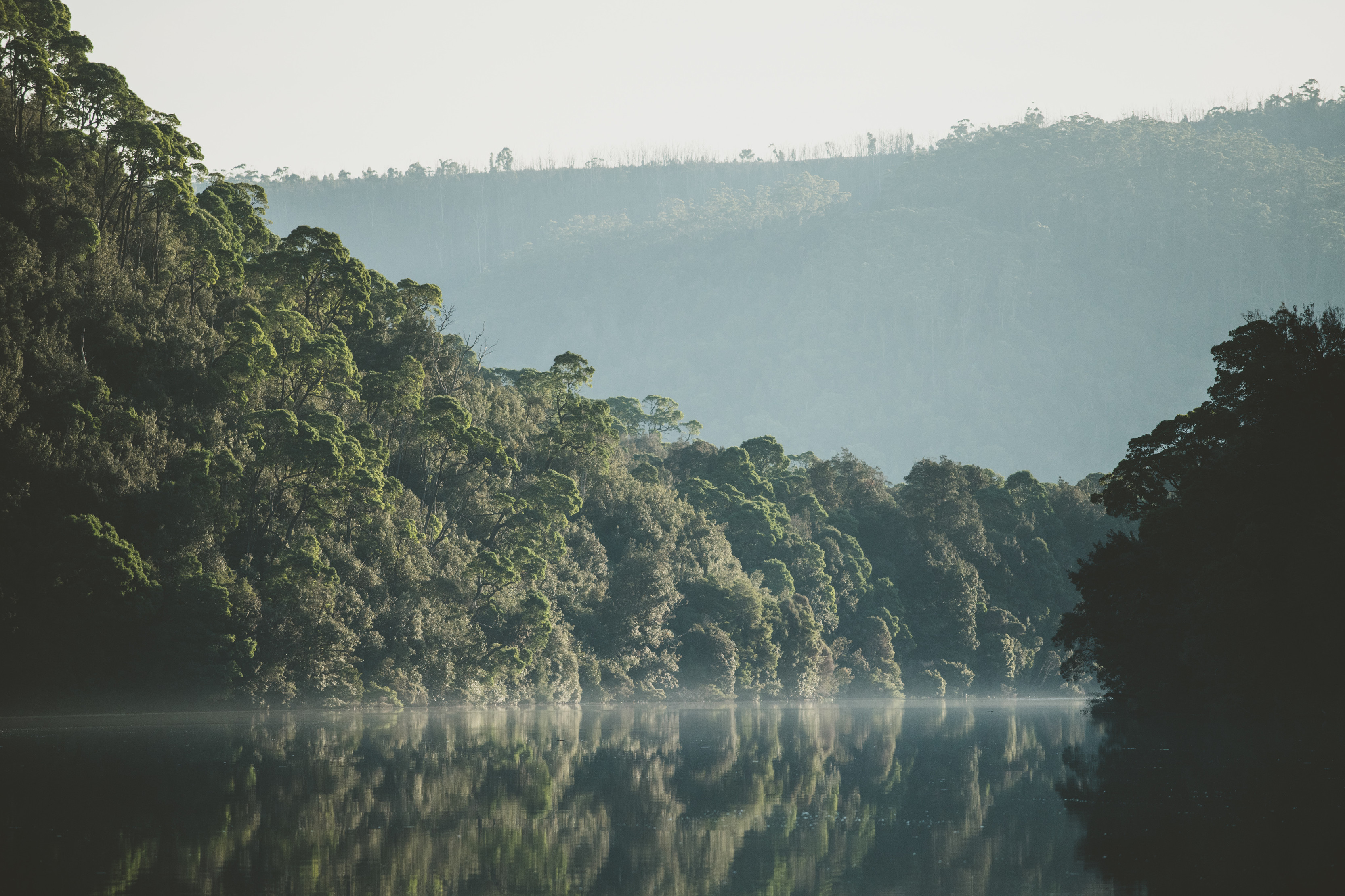 A moody and stunning image of Pieman River. Surrounded by dense rainforest.