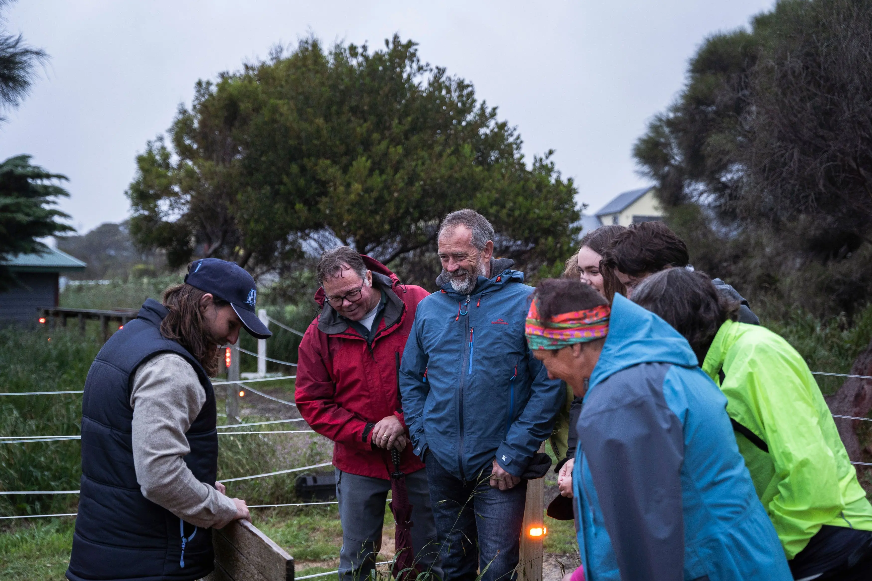 A group of people in different coloured wet-weather jackets and a tour guide look down into a nesting box where, out of the frame, penguins dwell.
