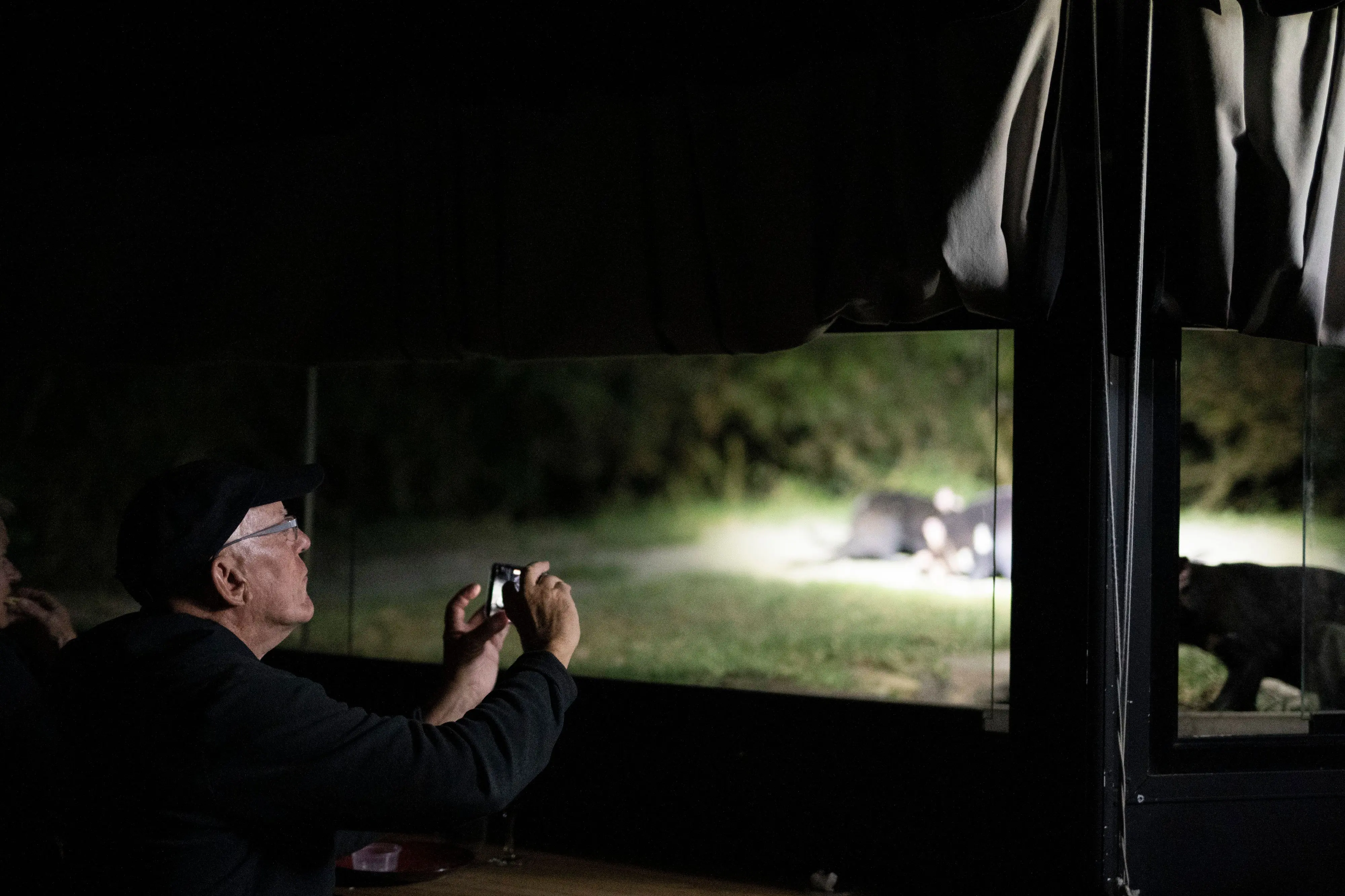 In the dark of night, a man is taking a photo through a window of out-of-focus black Tasmanian devils gathered for a feed on the grass.