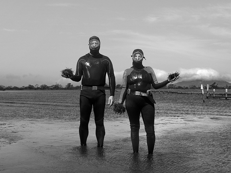 Signature scallop pie at Freycinet farm gate image
