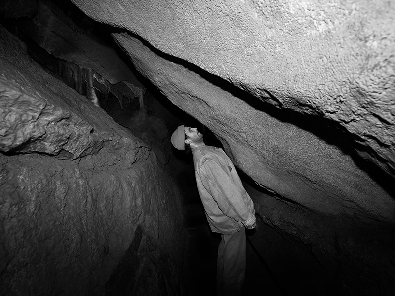 Glow worm gazer image