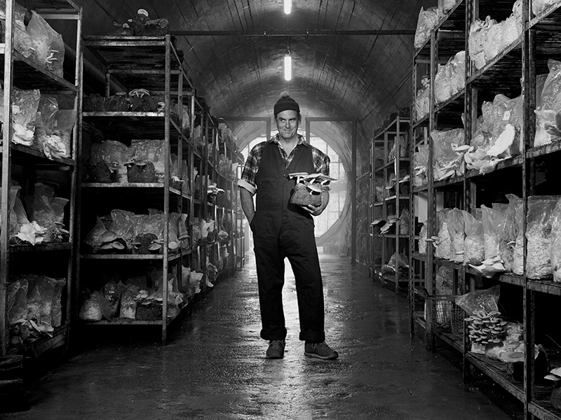 Farm, tunnel and fungi experience image