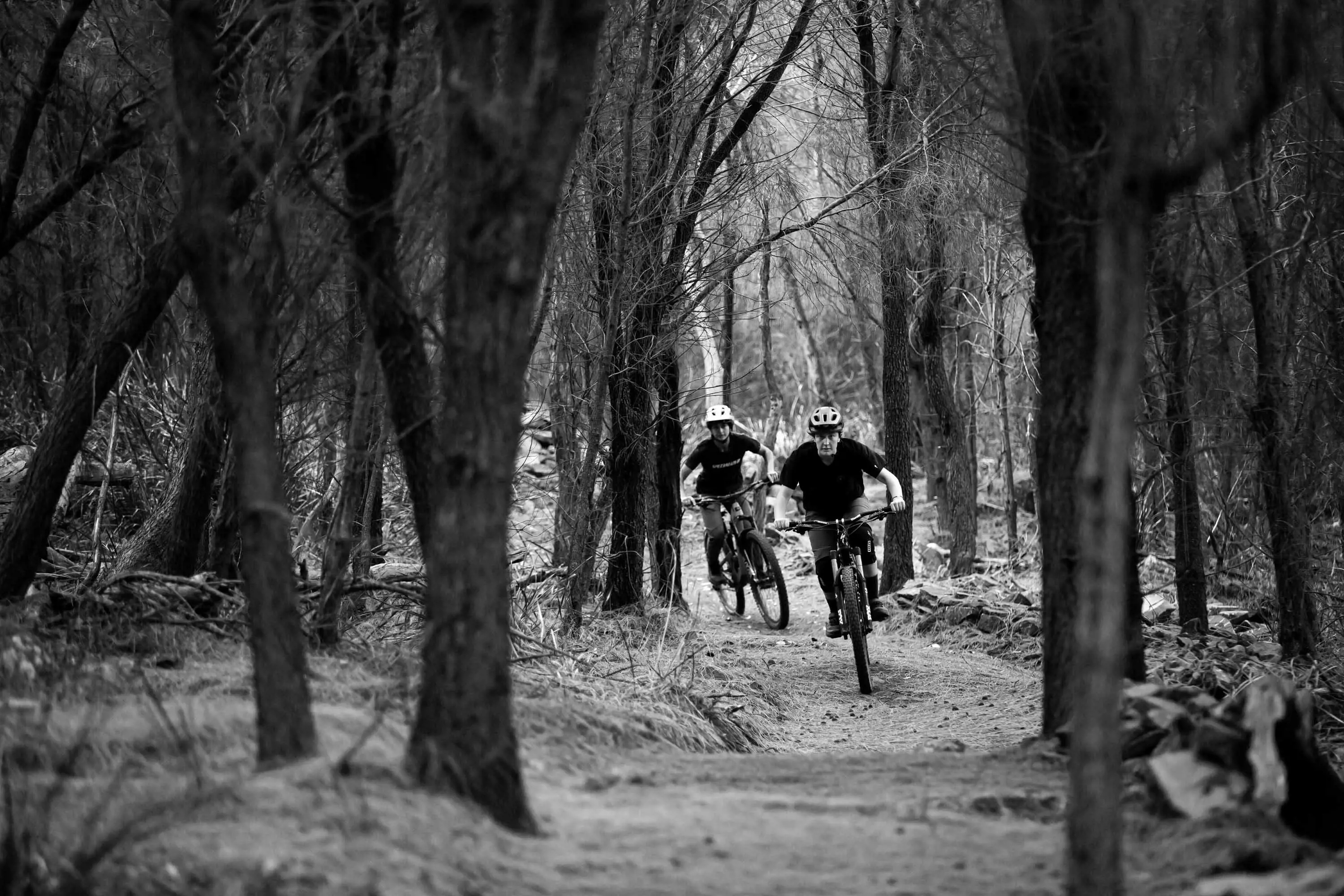 Two mountain bike riders wearing helmets ride on a trail through thick, dry forest.