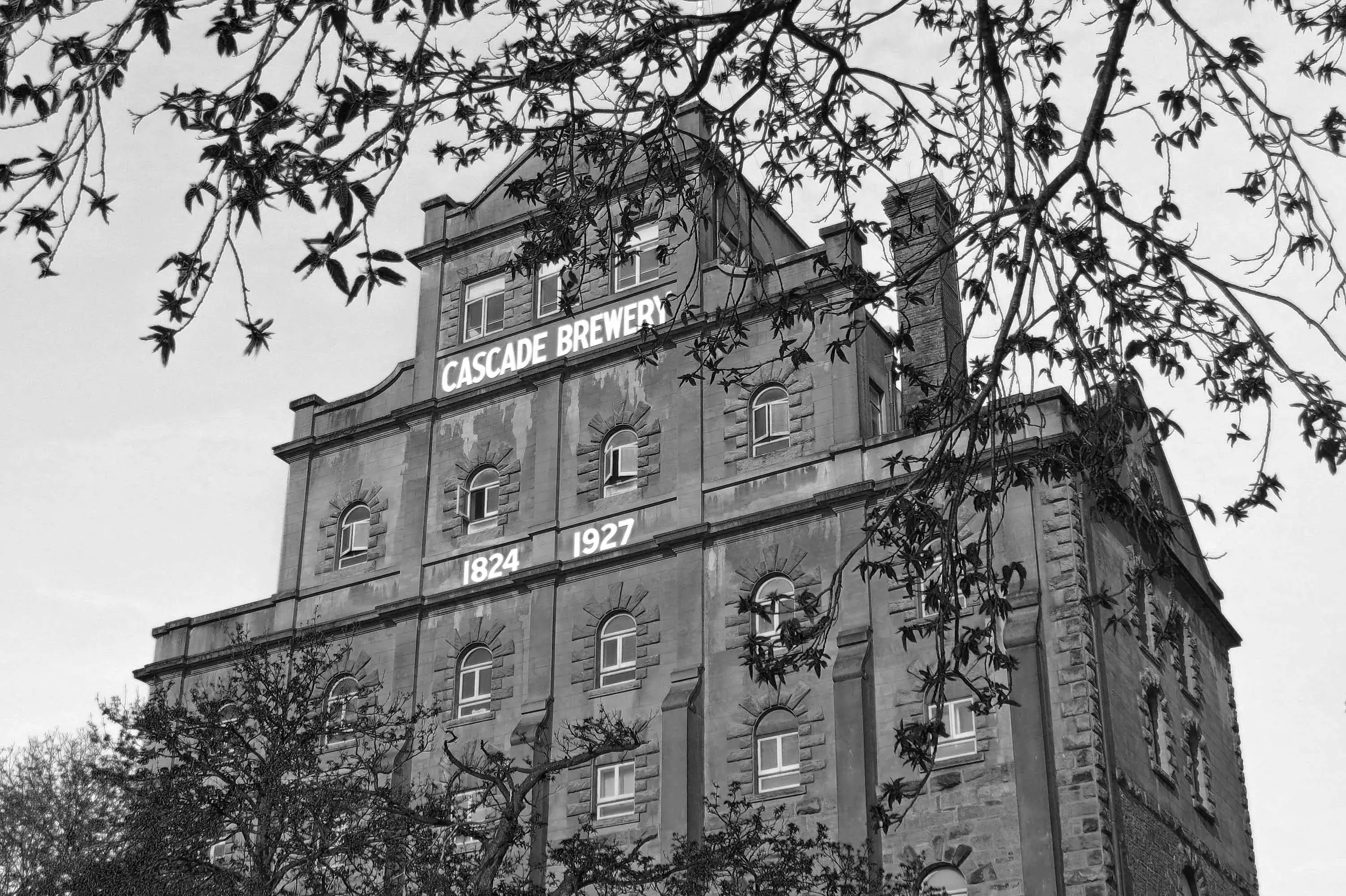 The facade of a multistory building made of sandstone with trees in the foreground.