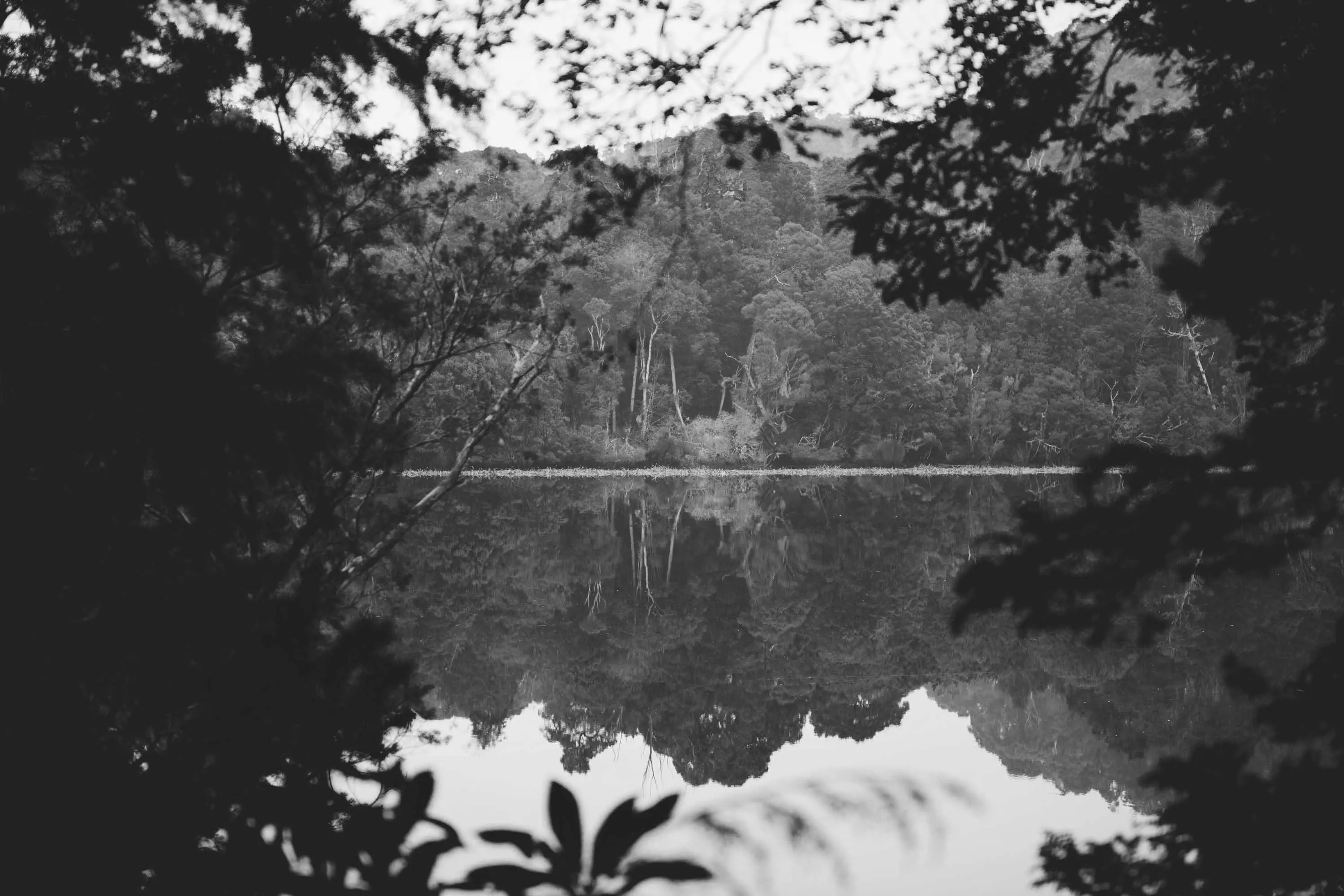 A large still lake reflects the dense forest on the opposite bank.