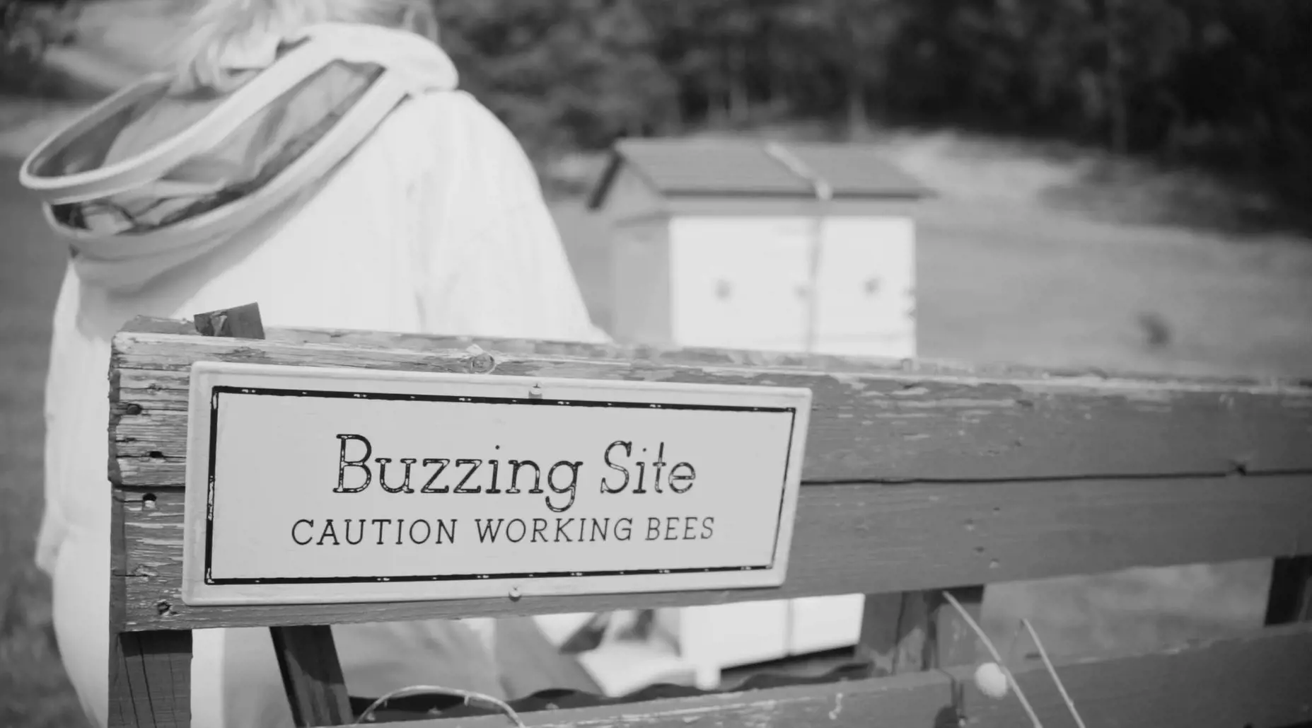 A beekeeper dressed in a white protective suit walks past a signposted fence towards some white beehives in the background.