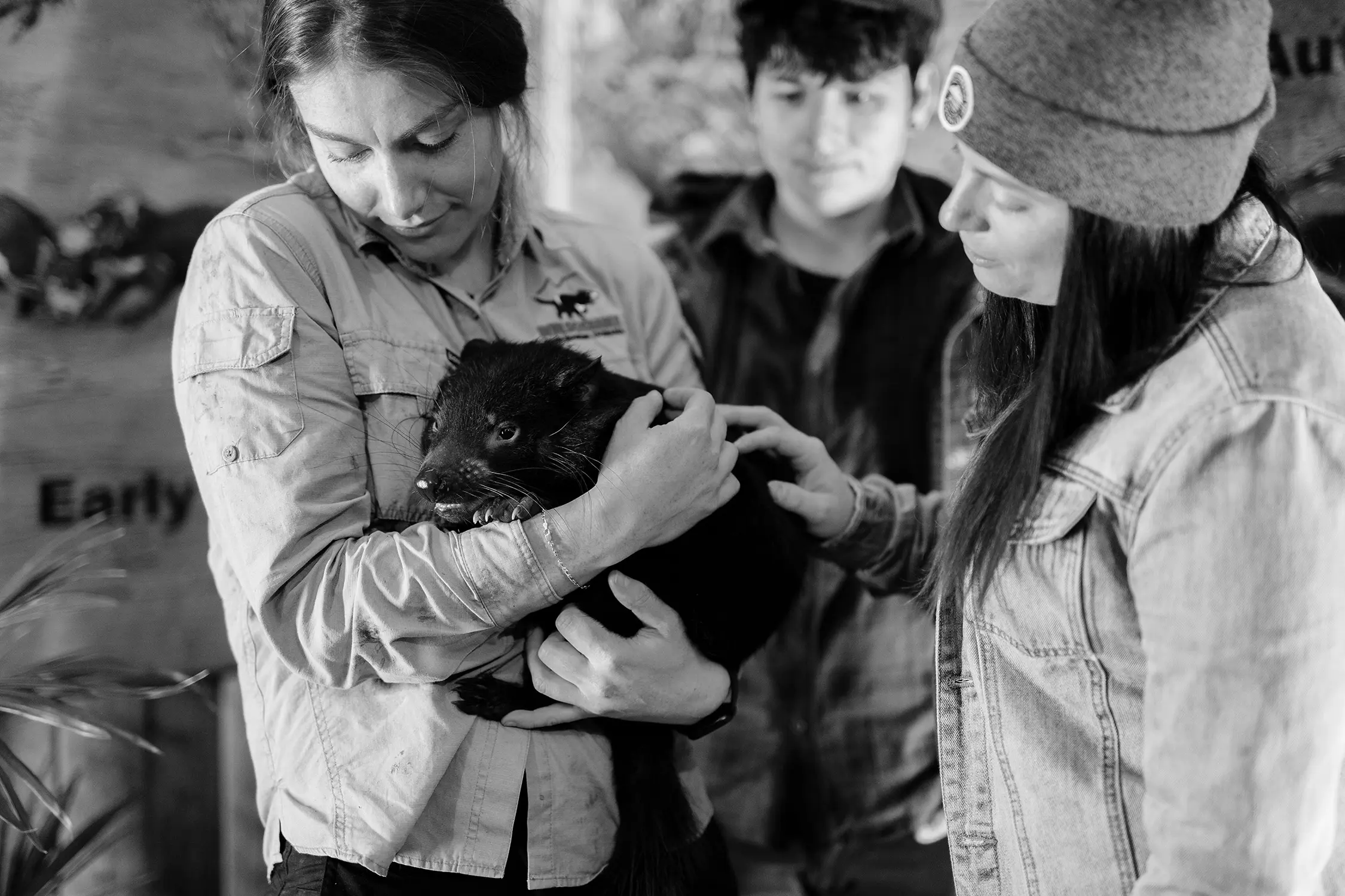 A woman in a work shirt cuddles a small Tasmanian devil in her arms. Two people are watching the joey, and one reaches her hand out to pat its back.