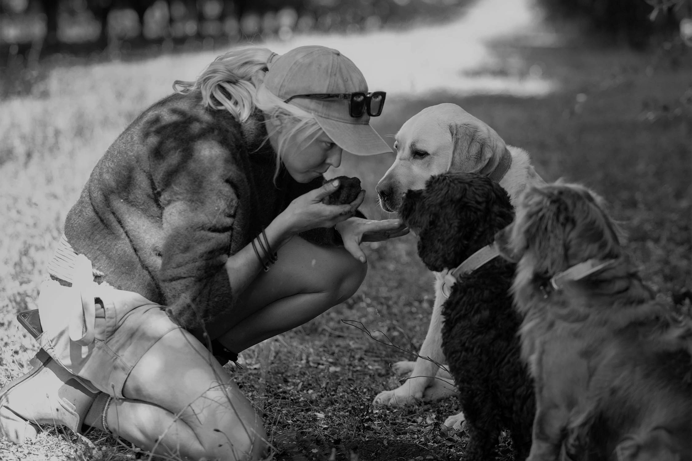In this black and white image, a woman is kneeling down and engaging with three dogs. She is holding a truffle in one hand, leaning forward to offer it to a yellow lab, while the other two dogs, one brown and one golden, look on expectantly.