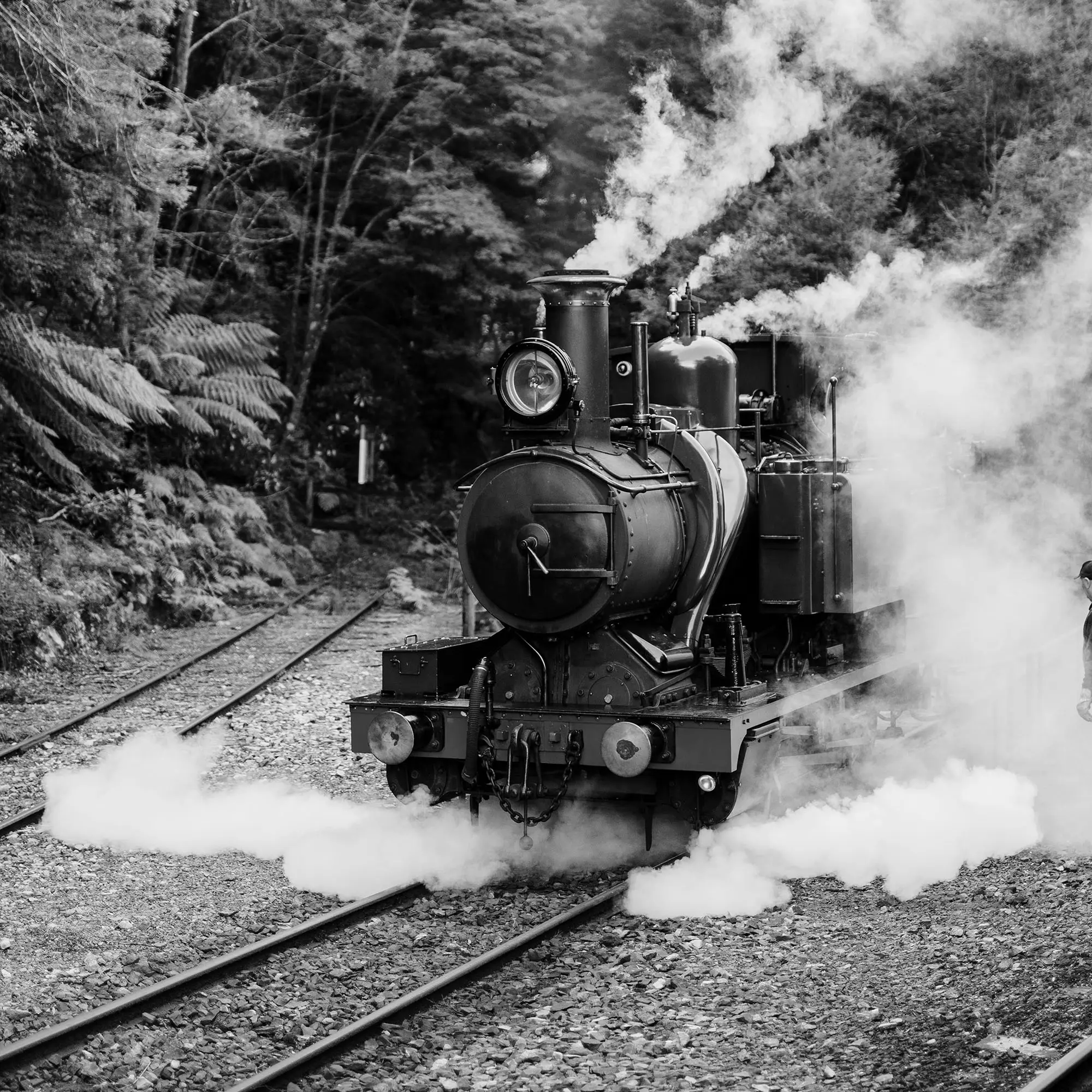A black and white image of a heritage steam train on tracks, surrounded by forest and thick billowing steam clouds.