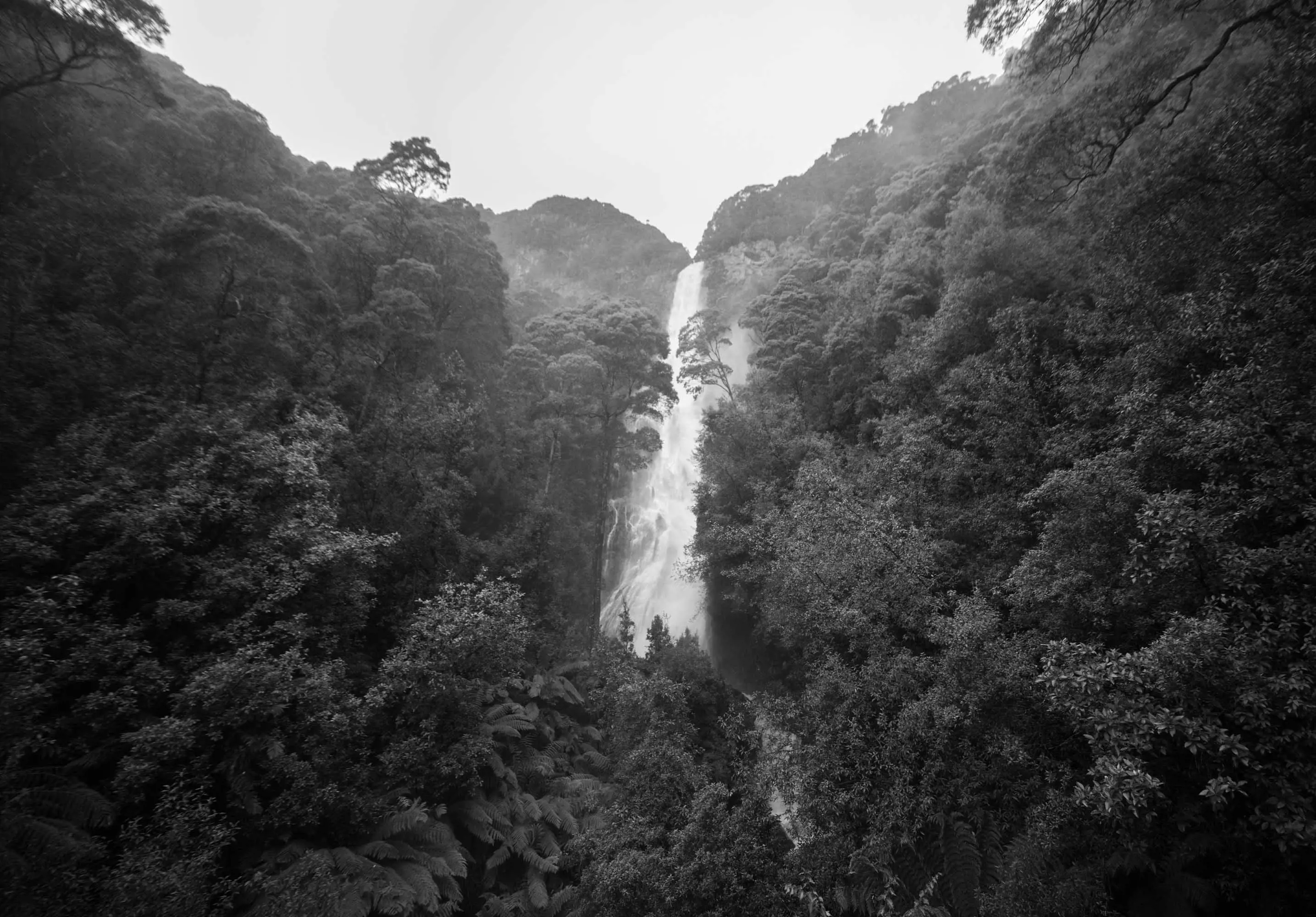 A tall waterfall cuts through dense forest from the top of a cliff.