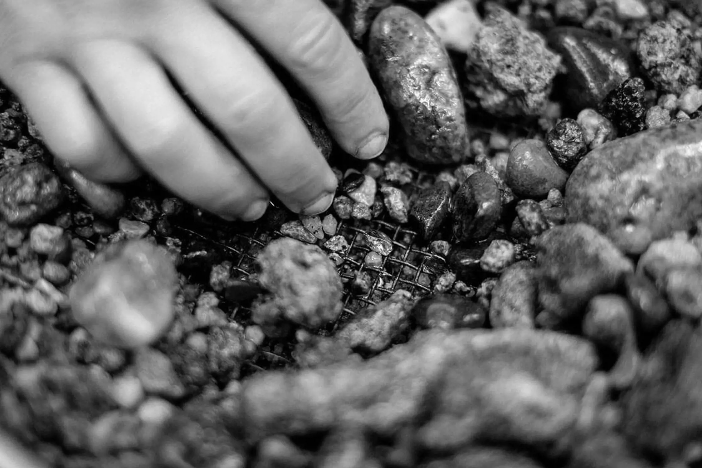 A close-up of a person's hand carefully sifting through gravel and stones on a mesh sieve. The focus is on the tactile exploration of the rocks' rough textures.