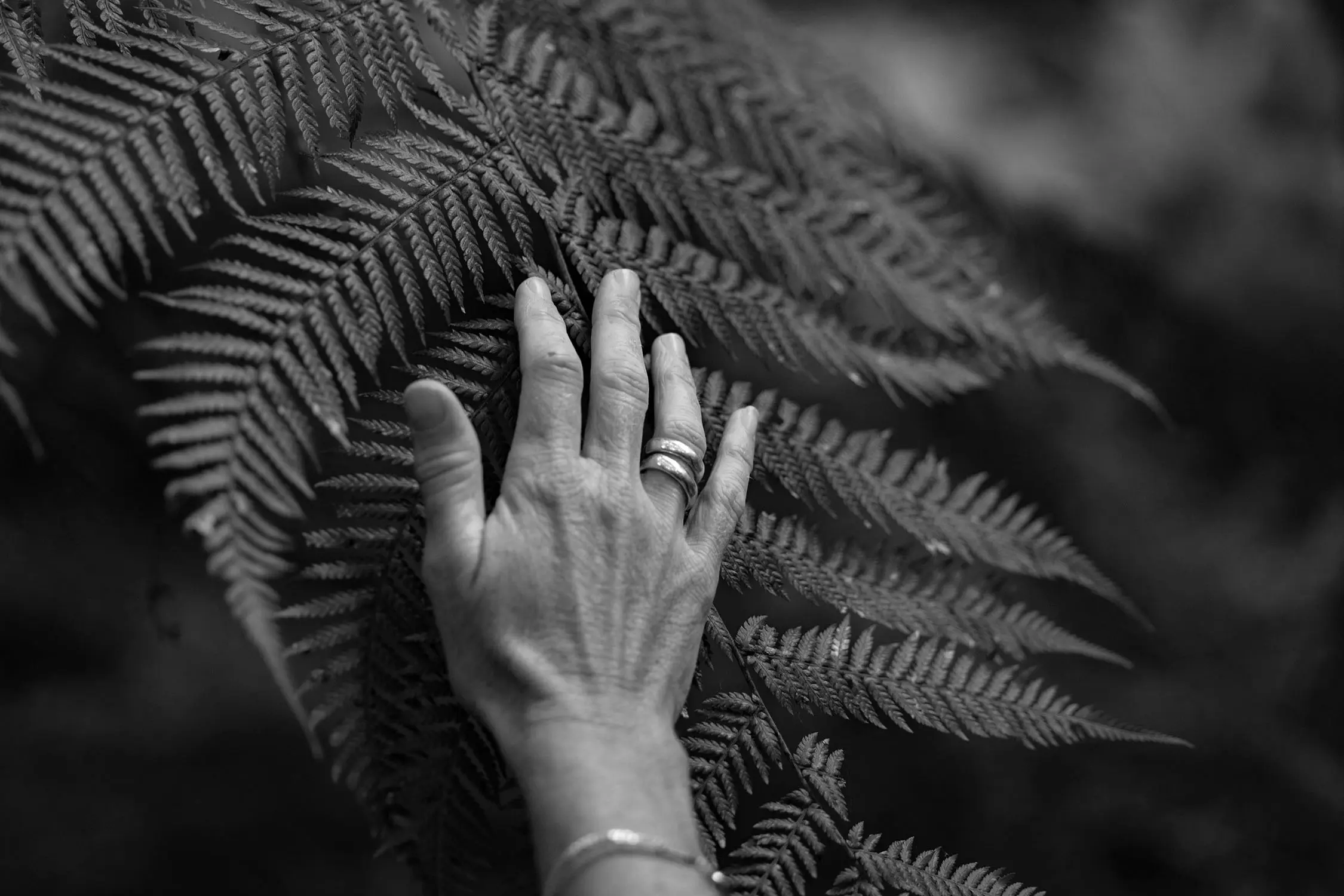 A person's hand, wearing two rings and a bangle, reaches out and softly touches a gently draping fern leaf.