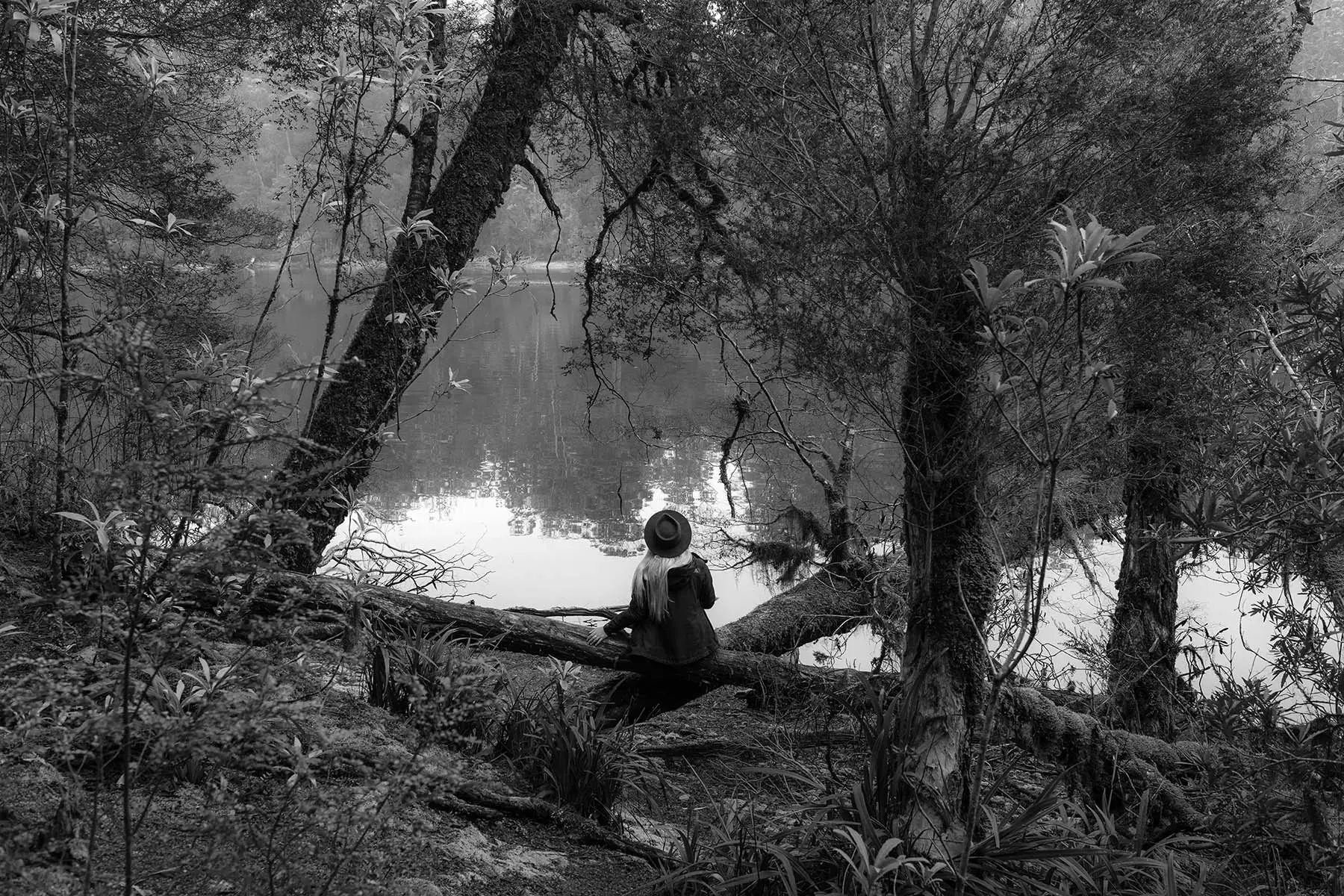 A woman in a beanie and scarf sits on a log amongst low-hanging trees, facing towards a tranquil river.