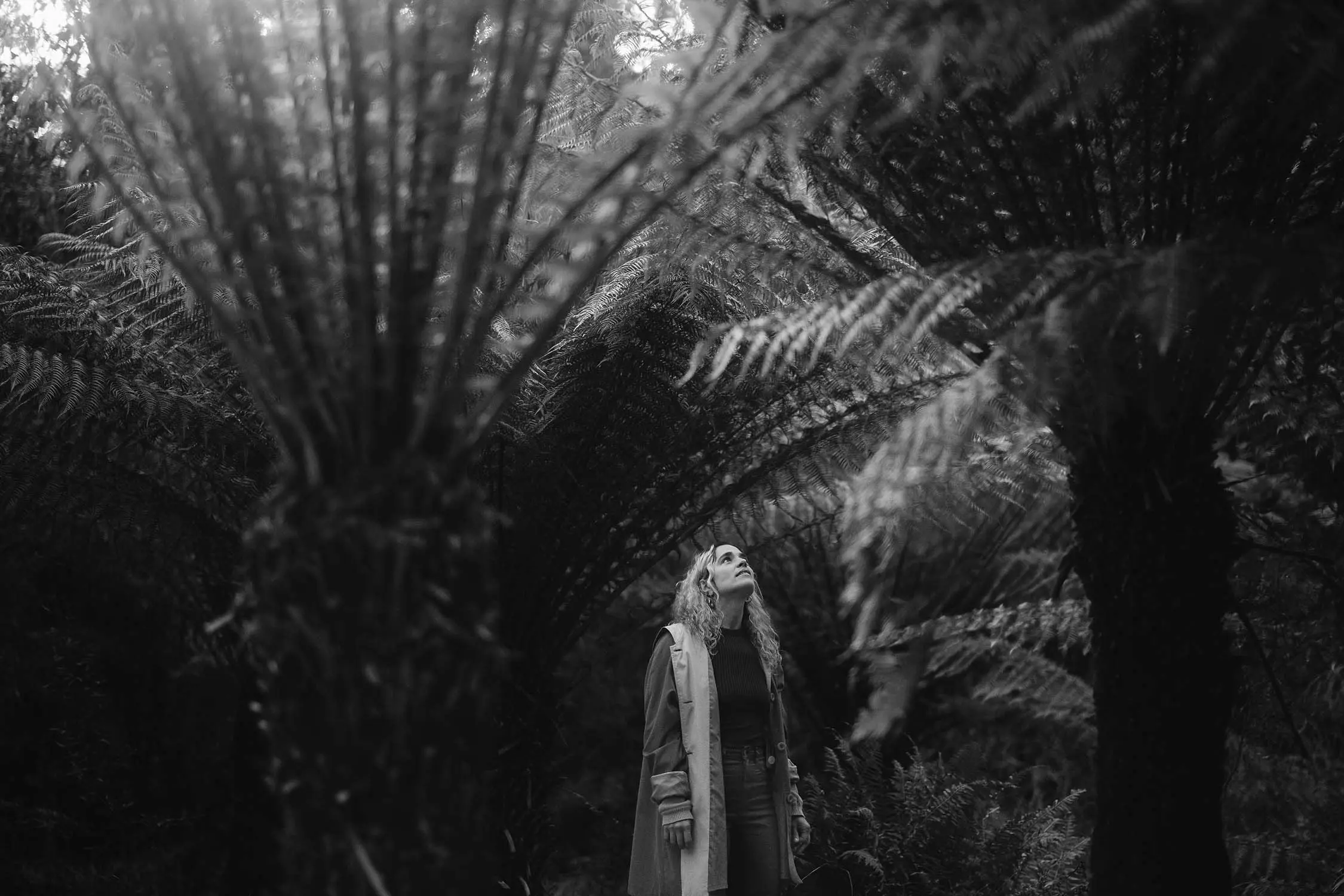 A person wearing a coat and scarf stands in a forest, looking up at the large fern trees surrounding them. The image is in black and white.