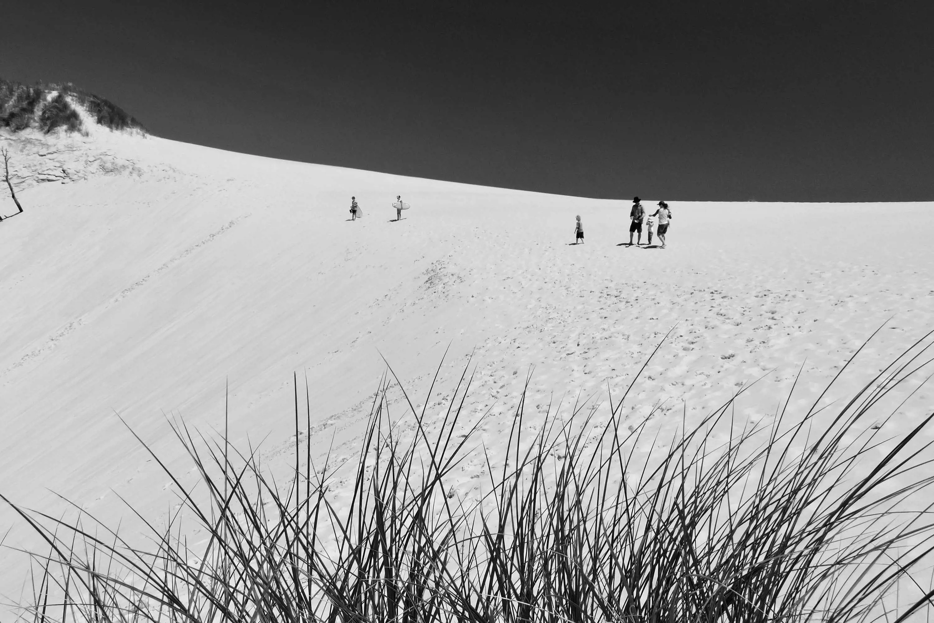 A family walk along the top of a sand dune.