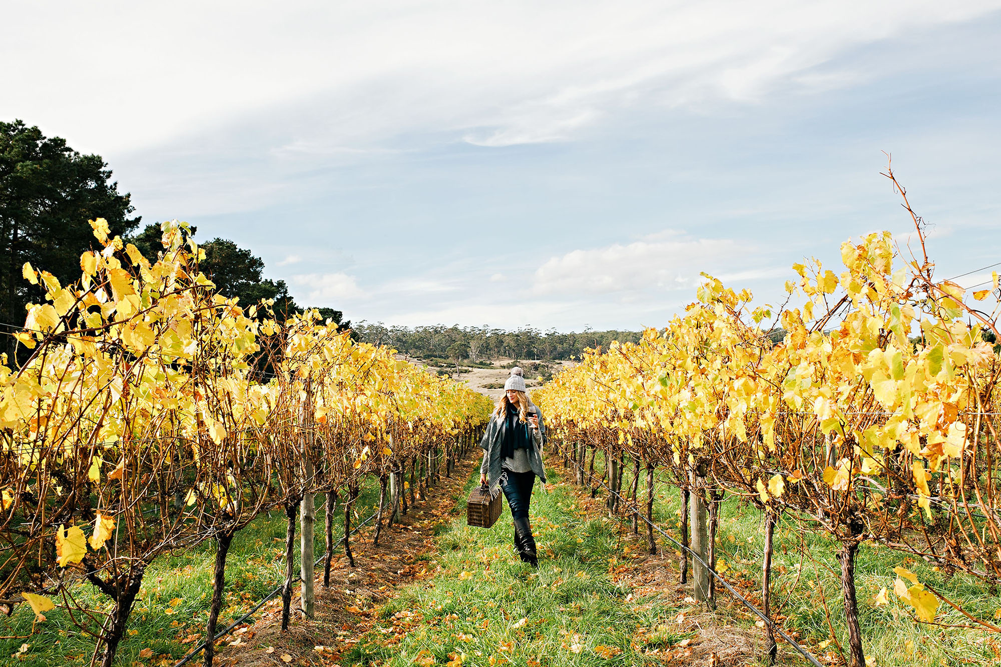 A woman wearing a beanie, scarf and jacket walks through a vineyard with rich yellow and orange leaves.