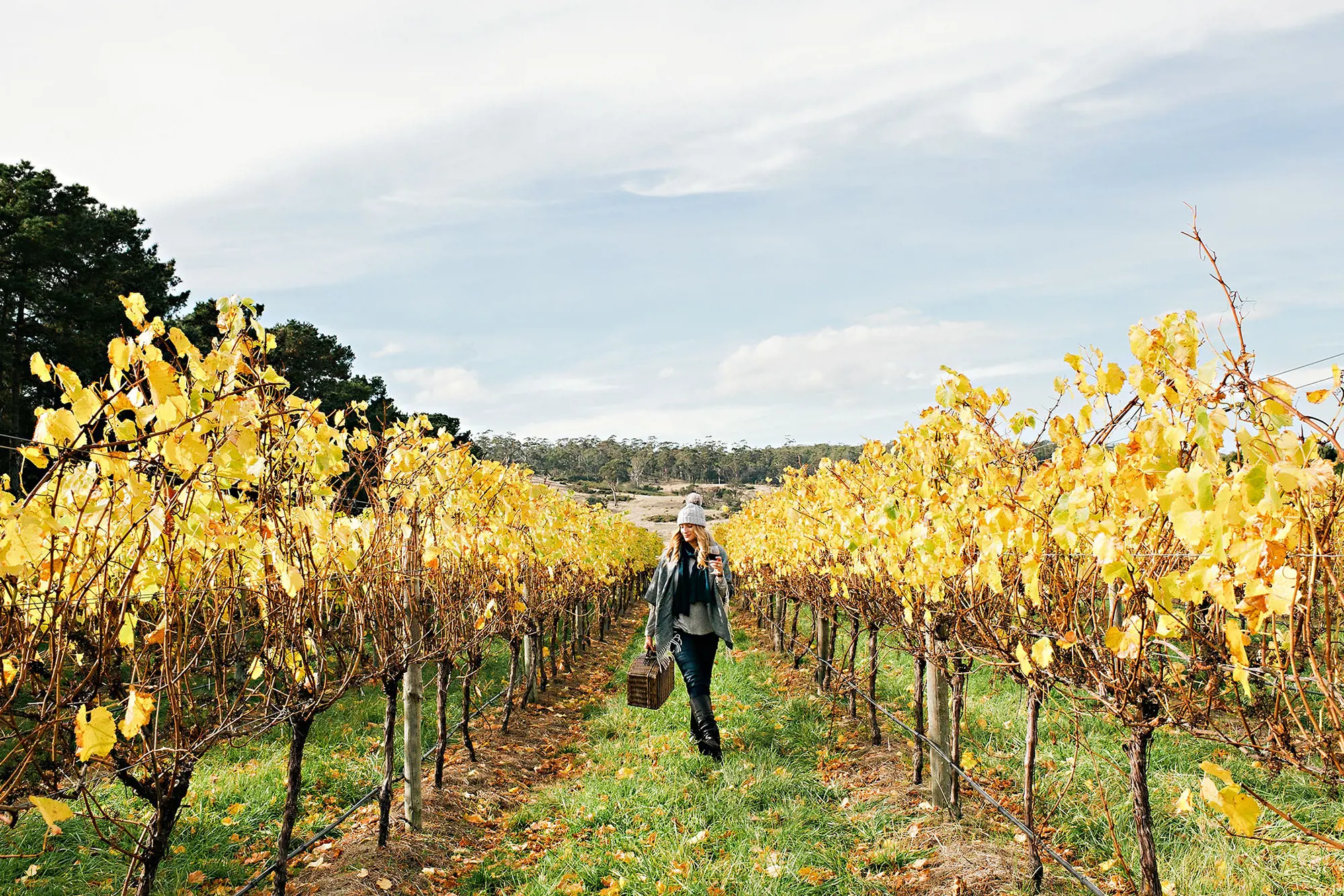 A woman wearing a beanie, scarf and jacket walks through a vineyard with rich yellow and orange leaves.