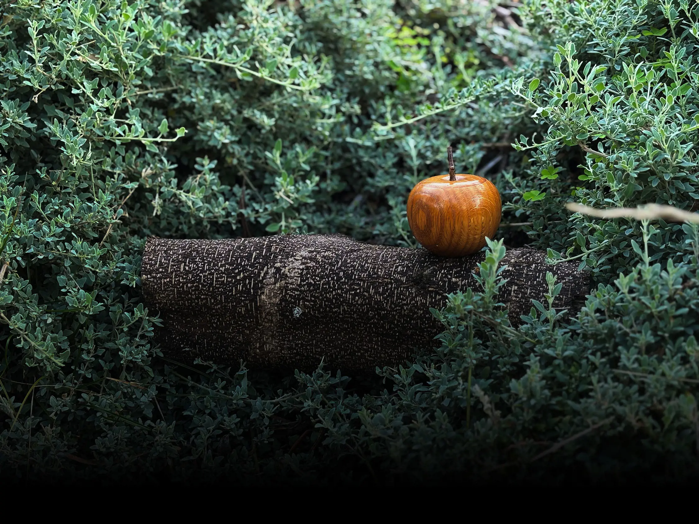 A polished wooden apple sculpture resting on a dark log amid low green shrubbery.