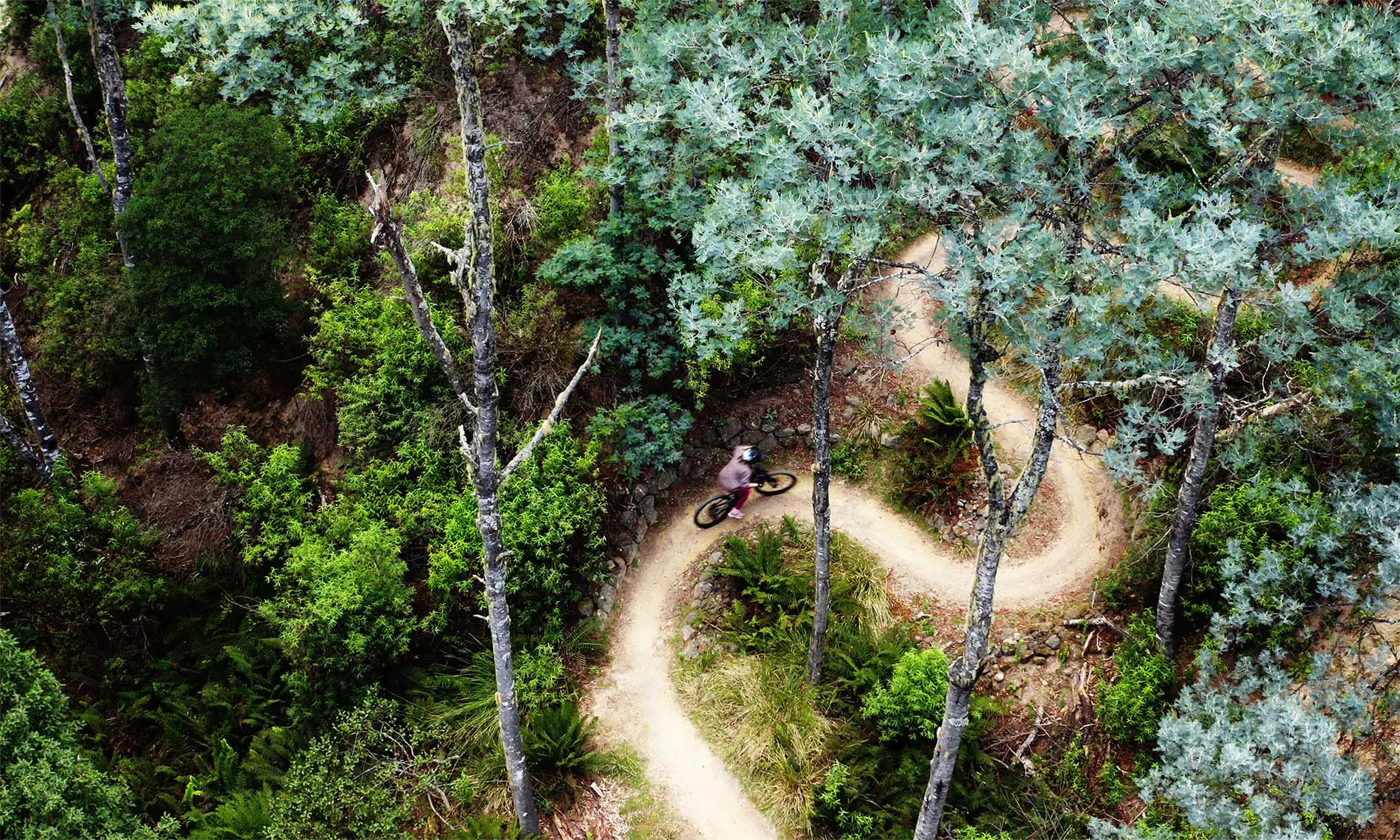 An aerial view of a mountain biker, riding on a narrow winding dirt trail through dense forest.
