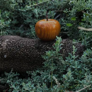 A polished wooden apple sculpture resting on a dark log amid low green shrubbery.