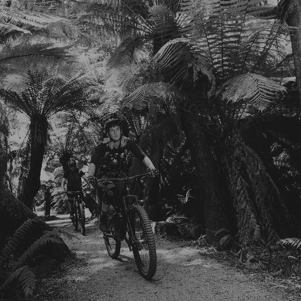 Wheels, wine and whisky