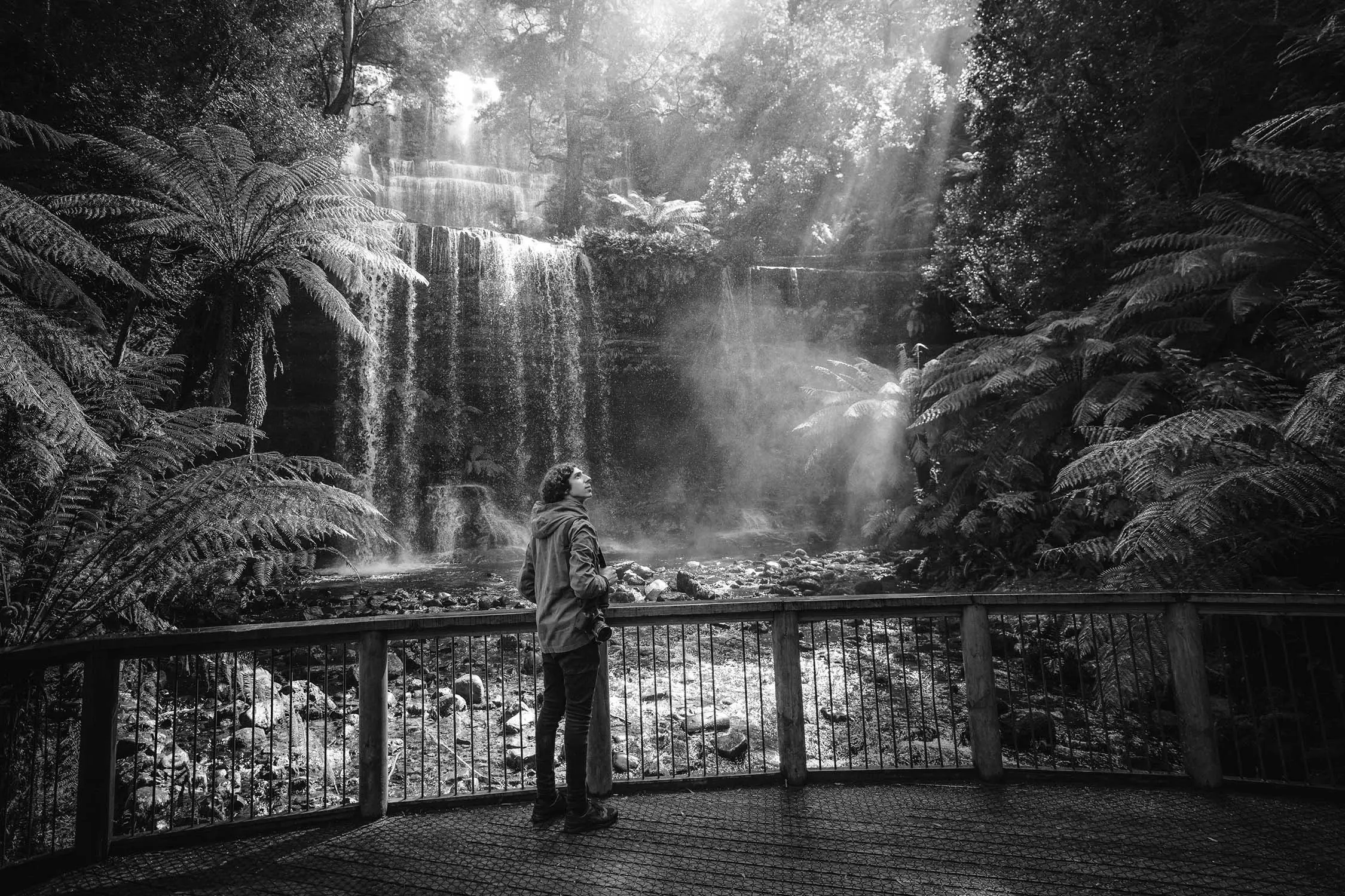 A man stands on the wooden boardwalk in front of cascading Russell Falls, looking up at the fern forests and tall trees.
