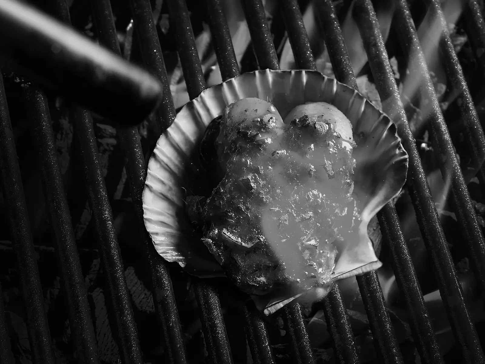 A close-up of a scallop in its shell over a hot grill, steam arising as it cooks.
