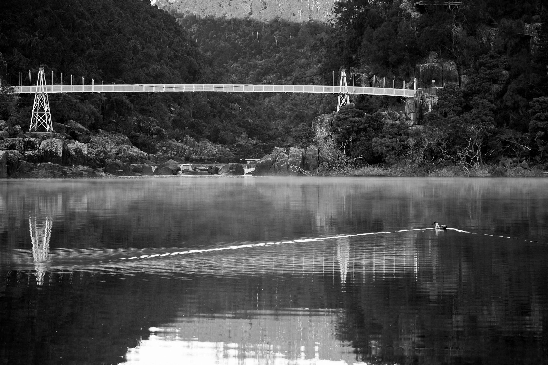 A narrow pedestrian suspension bridge spans across a serene river valley, elevated with sturdy cables attached to tall, white steel towers on either end. The bridge gently curves, connecting lush, densely forested hillsides with steep rocky formations, under a tranquil sky suggesting early morning or late afternoon light.