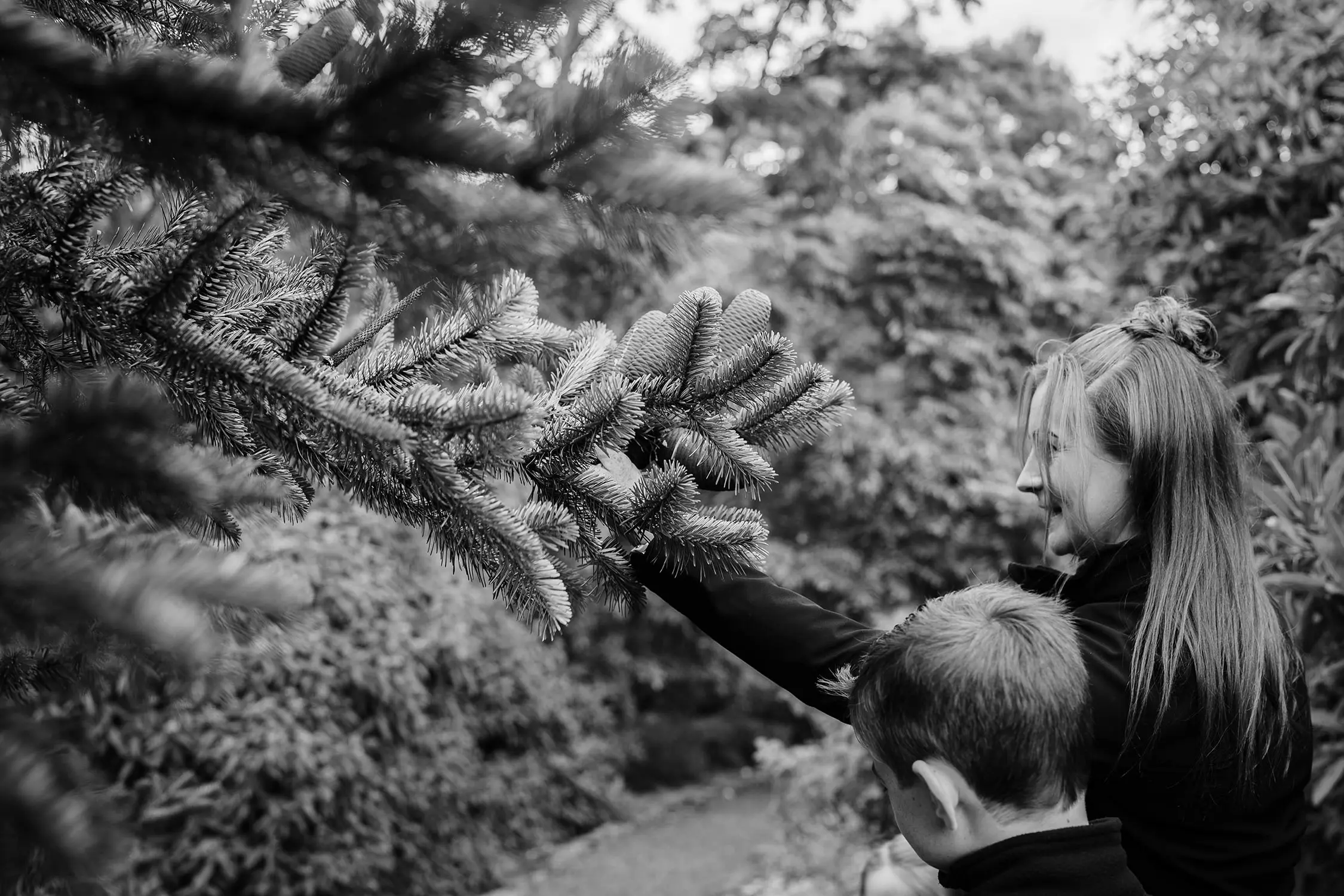 Two kids reach out to touch the tips of a pine tree branch, covered with soft needles.