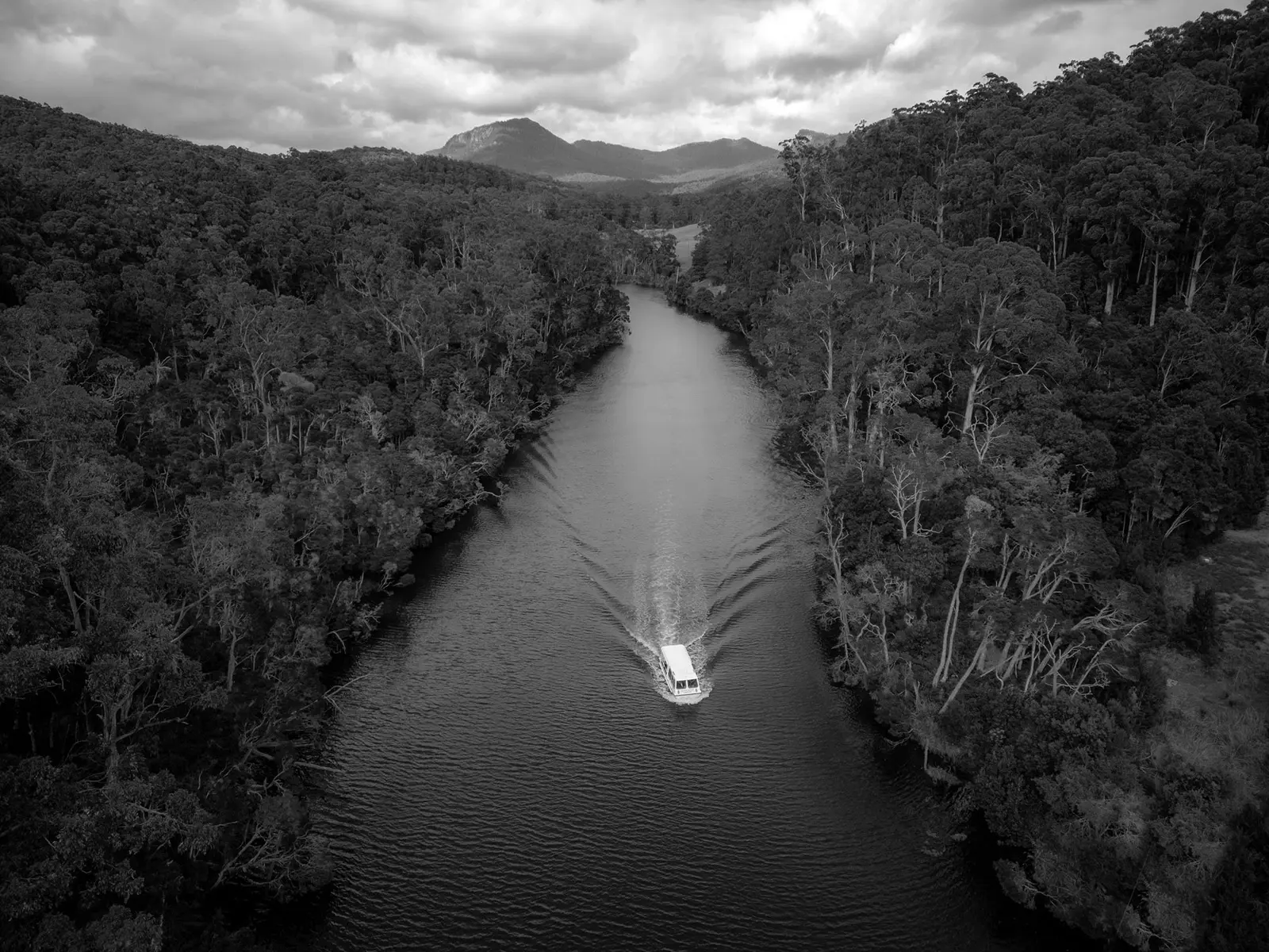 A small river cruise boat motors across smooth waters of a river, surrounded on both banks by tall, dense bush. Mountains rise above the scene in the background.