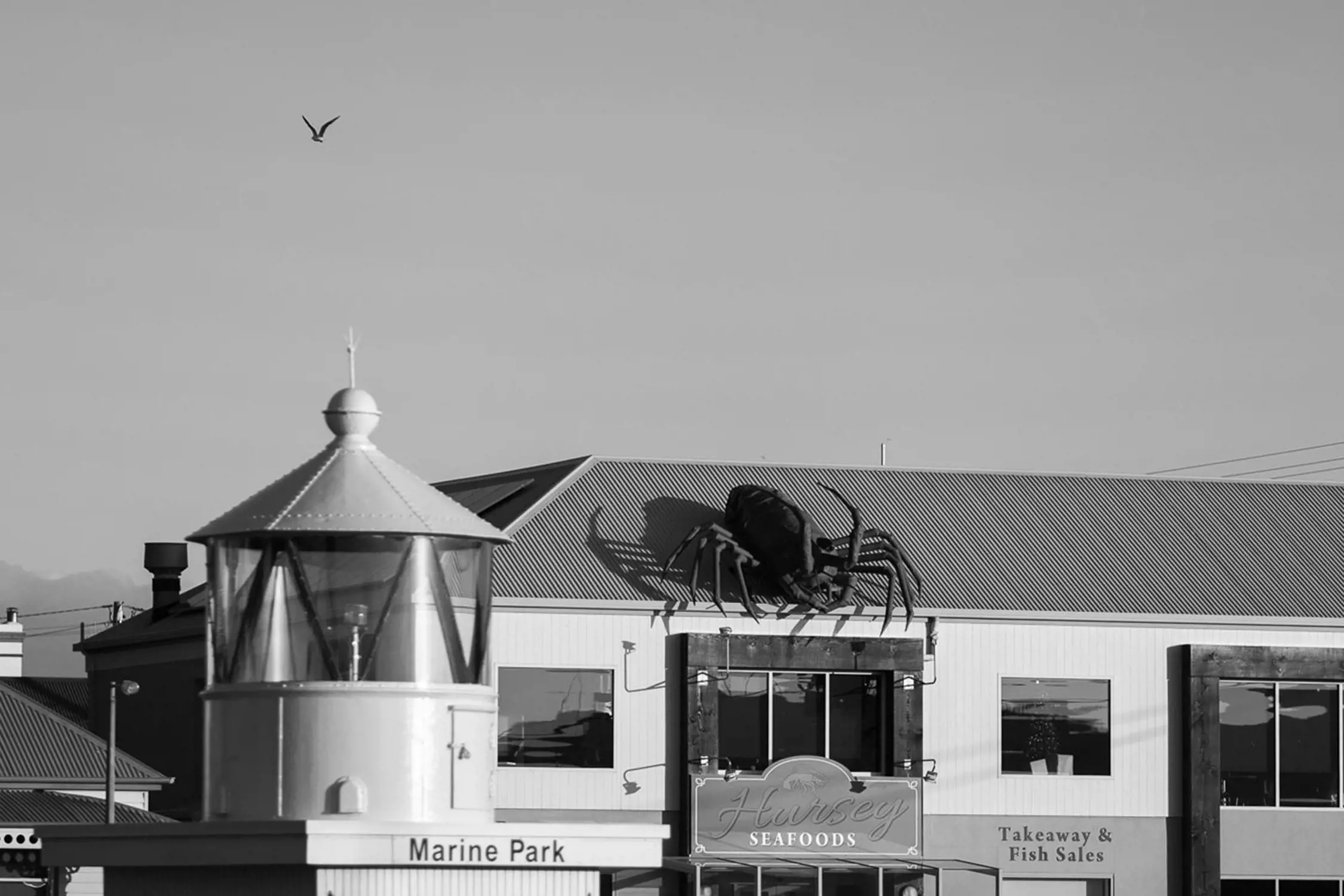 A lighthouse structure labeled "Marine Park" in the foreground with a building in the background featuring a large crab decoration on its roof and a sign reading "Hersey Seafoods Takeaway & Fish Sales," with a bird flying overhead.
