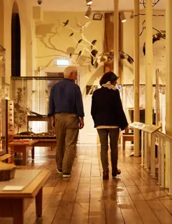 A couple walk through a display of animals in a large, well-lit hall.