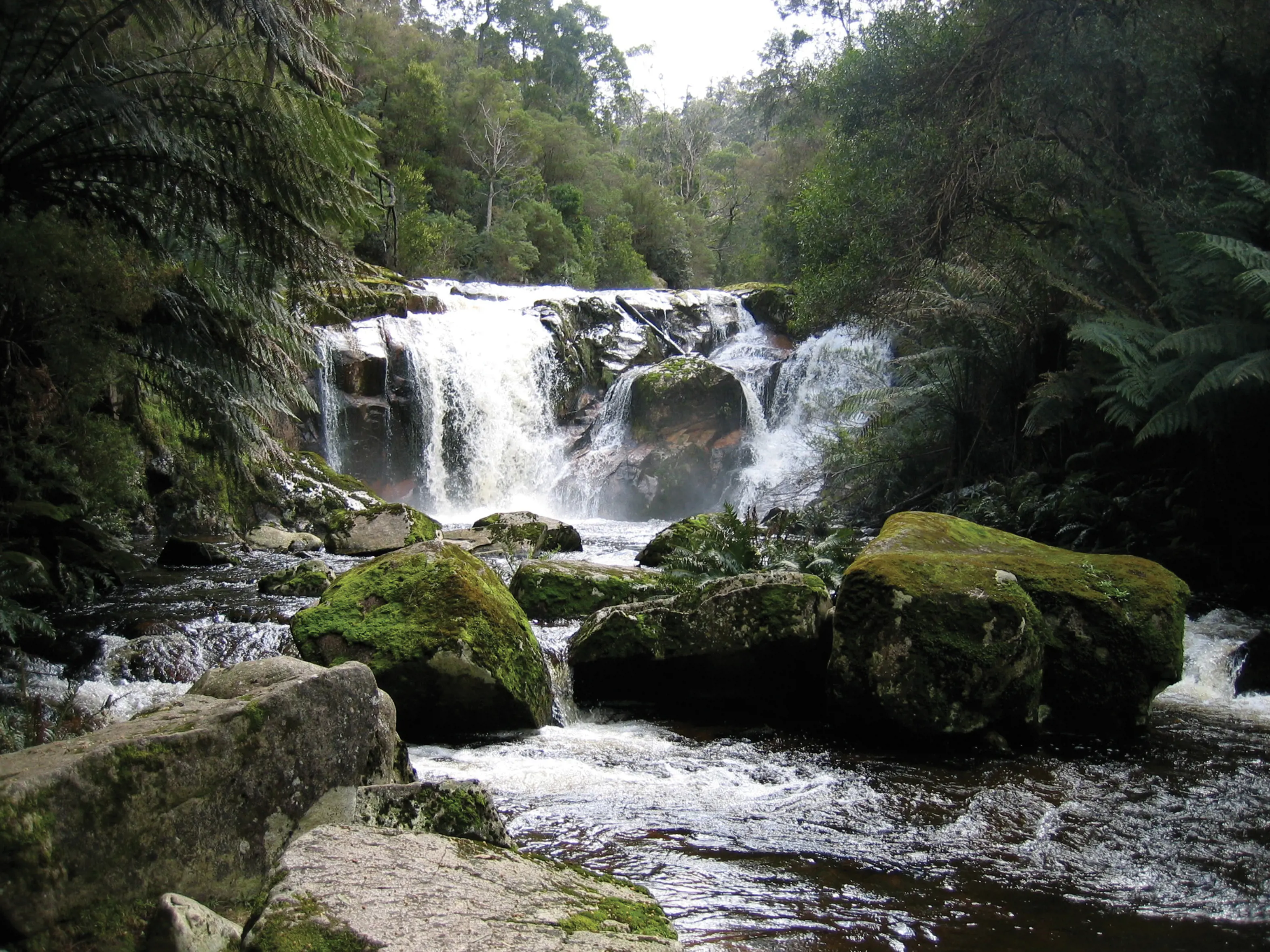 Landscape of the top of Halls Falls, with rocks in the foreground.