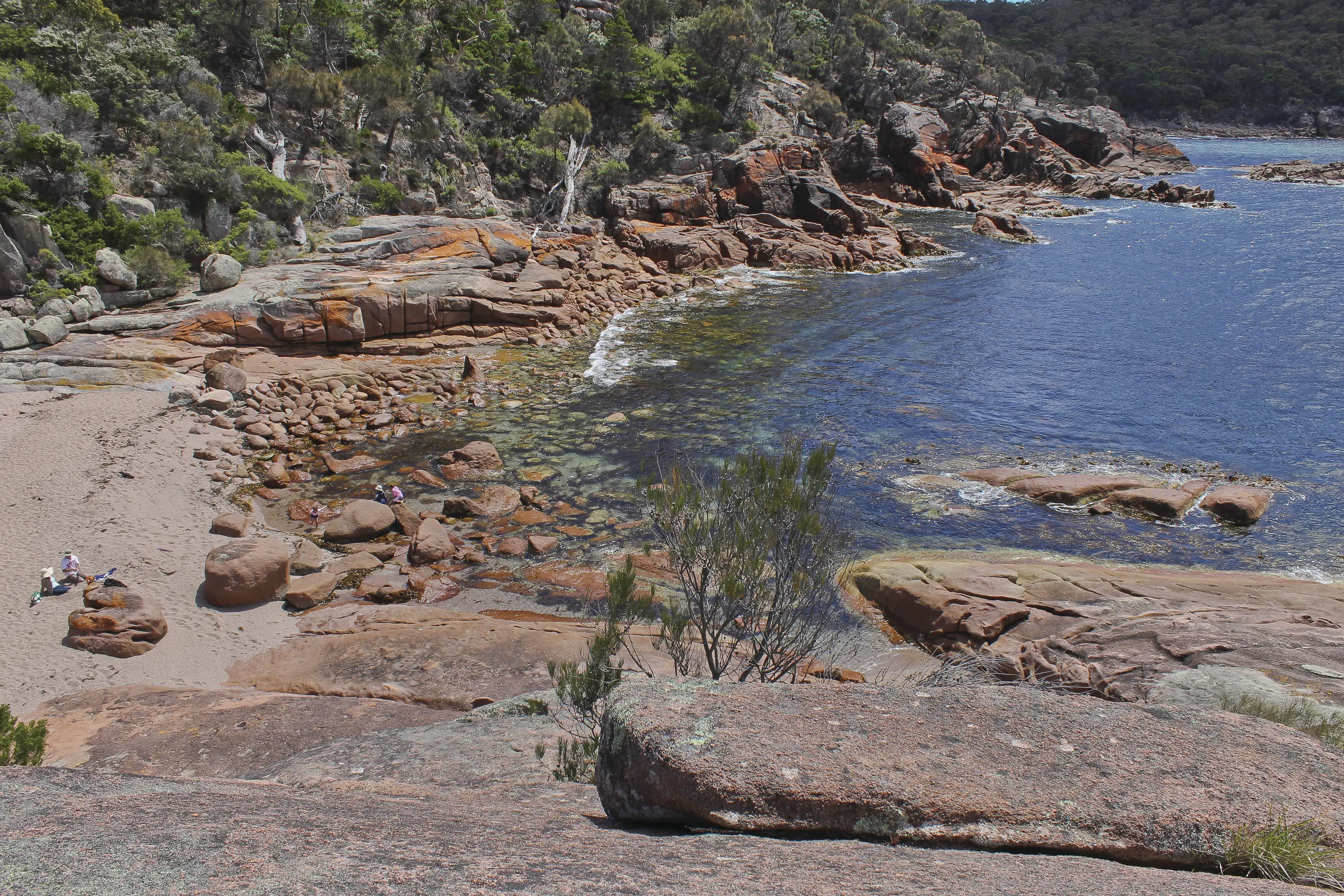 Low level shot of Sleepy Bay in Freycinet National Park, Freycinet Peninsula. Brown and re rocks surrounded by greenery. 