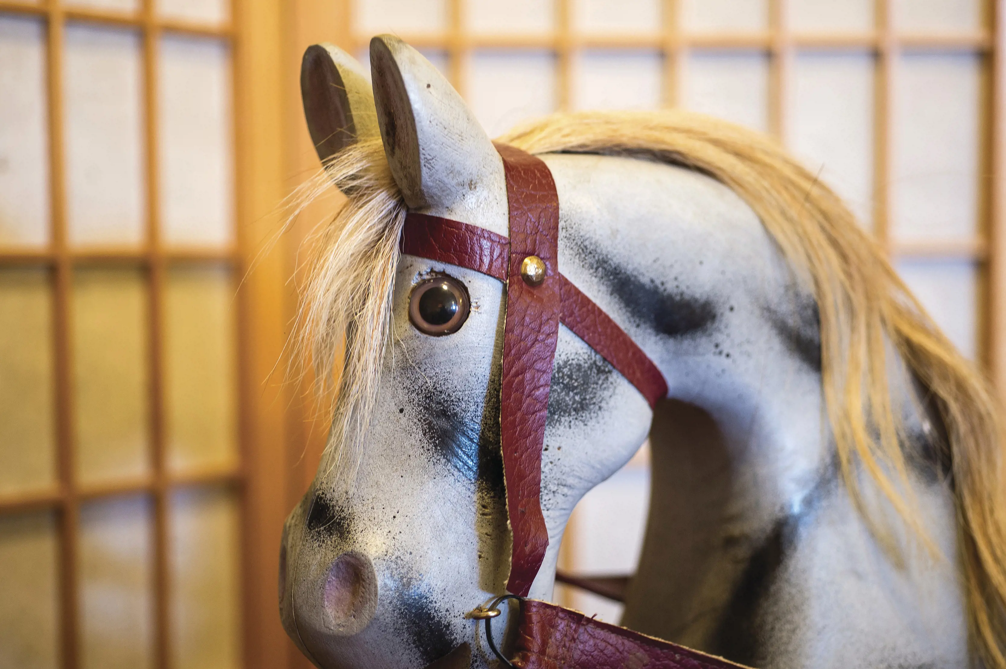 Close up image of a manmade horse within the Purple Possum Cafe.