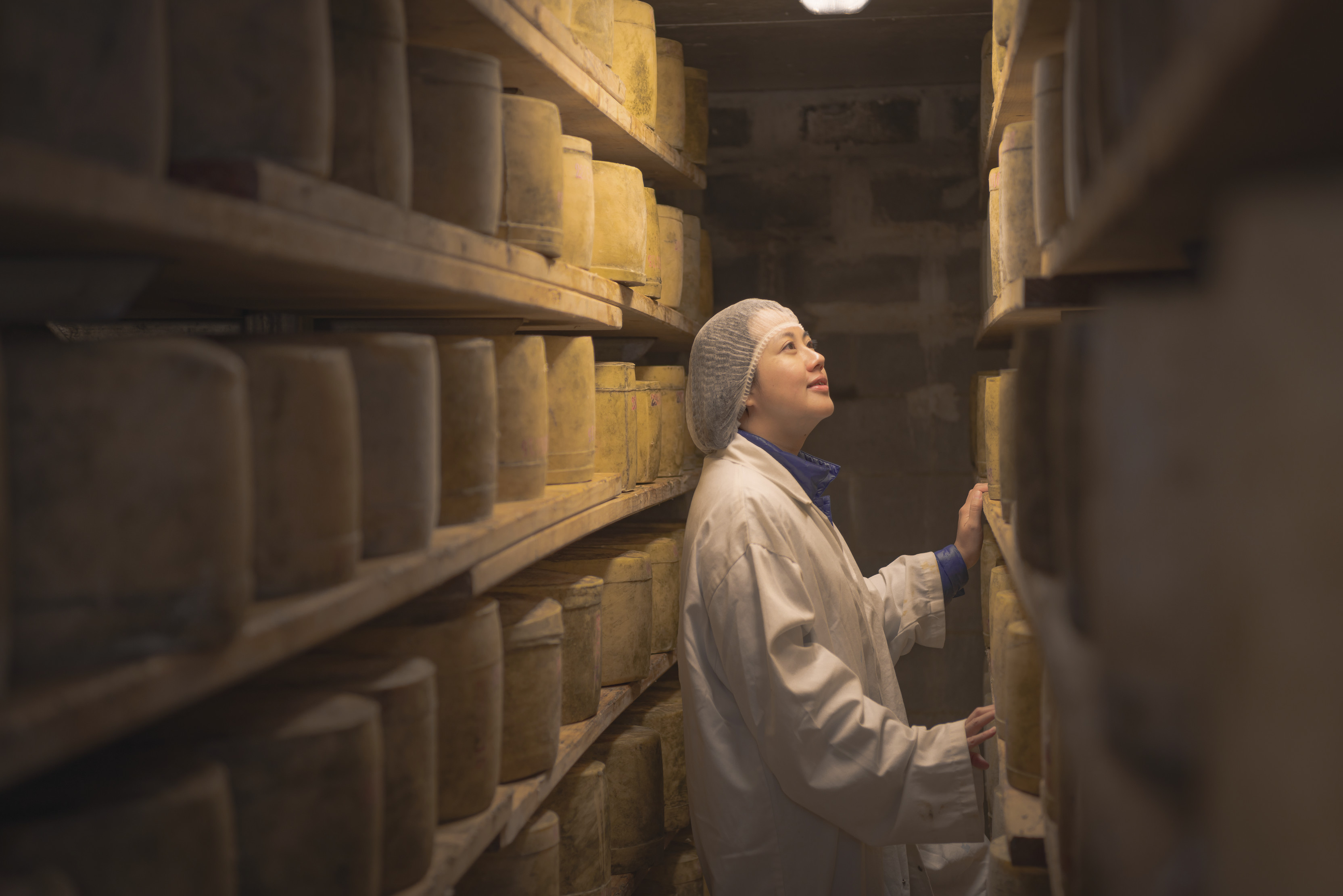 A staff member wearing a hair net walks stands in the aisle surrounded by blocks of cheese at Pyengana Dairy Company.