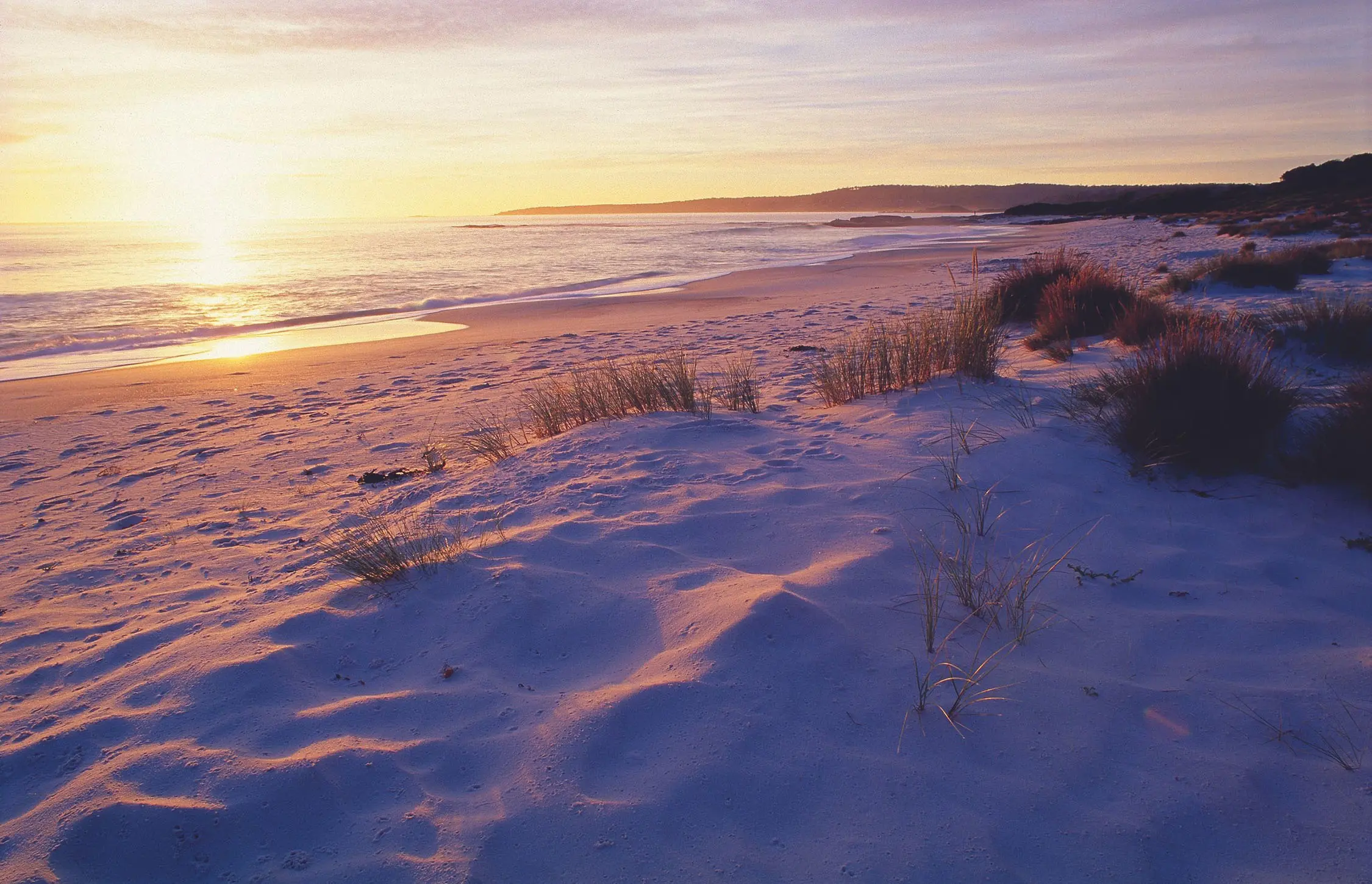 A sunrise over a deserted sandy beach, the sky casting shadows so the white sand appears almost purple.
