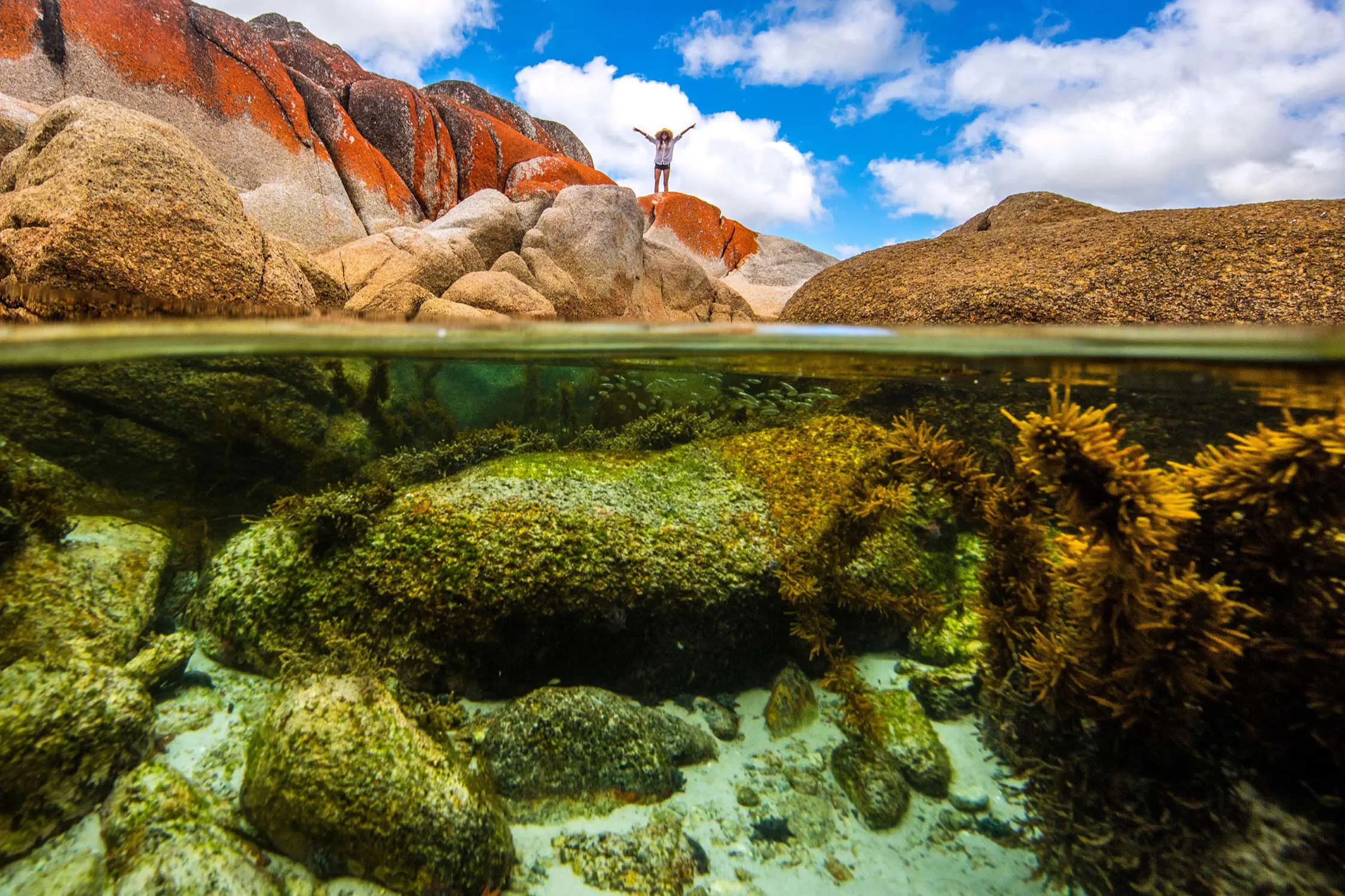 A half-submerged image, the waterline of the ocean cutting through the middle. Above the water a person stands on orange lichen-covered boulders, and below is the seafloor landscape of rocks and seaweed.