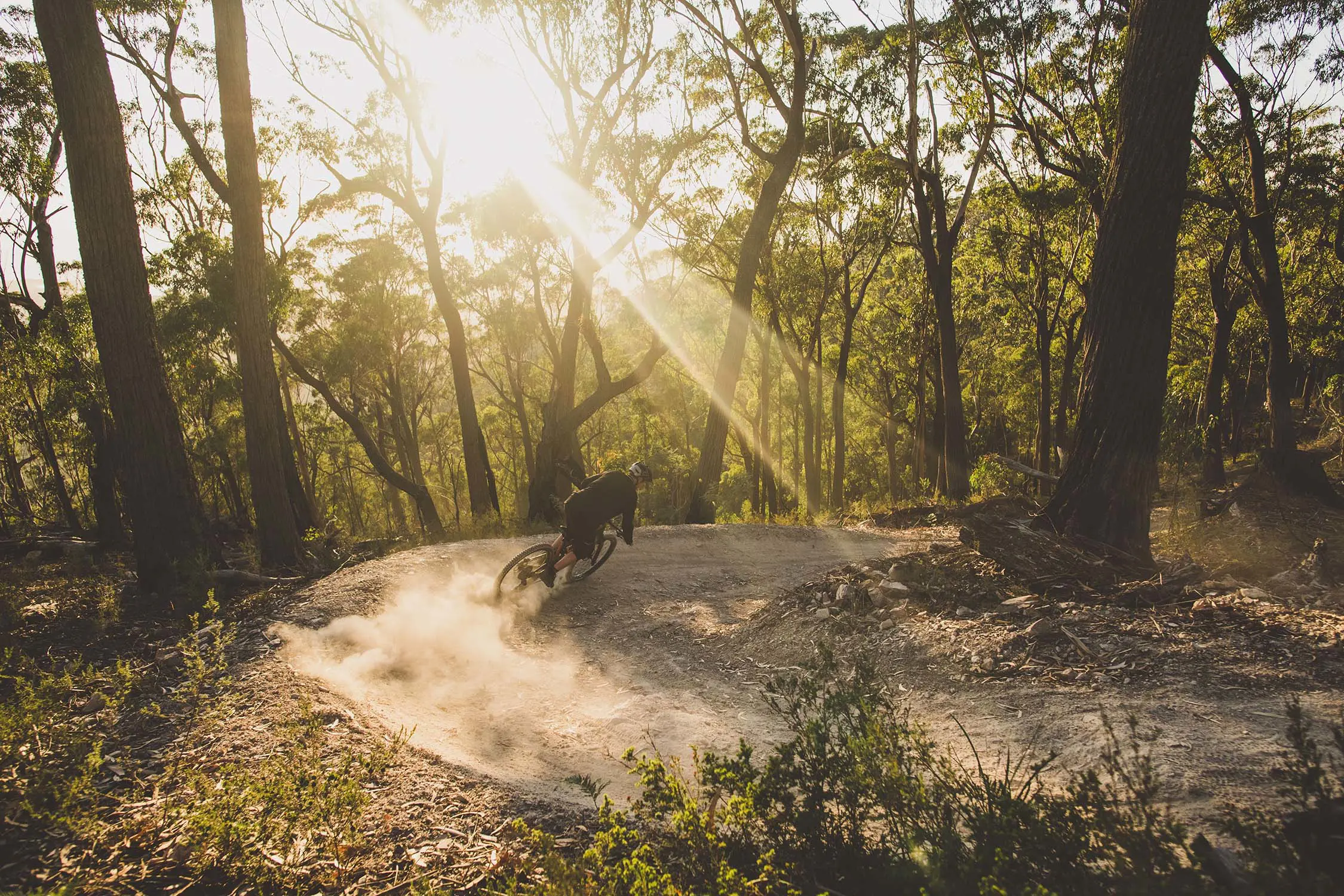 A person on a mountain bike kicks up sand as they ride around the bend of a trail. The sun shines through the trees.
