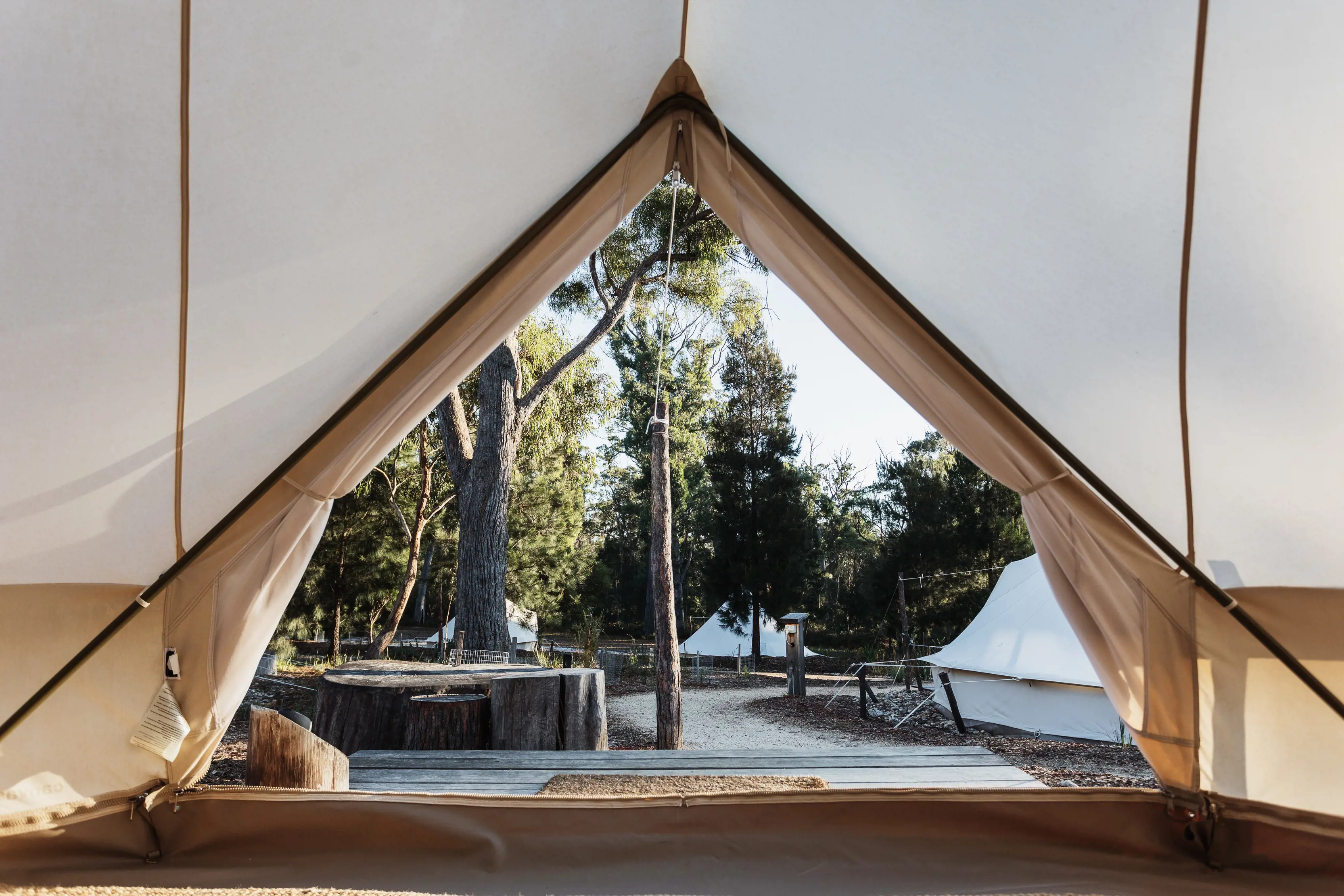 Looking out from a large tent at a campsite amongst the bush. Part of the Glamping style accommodation at the Bay Of Fires bush retreat.